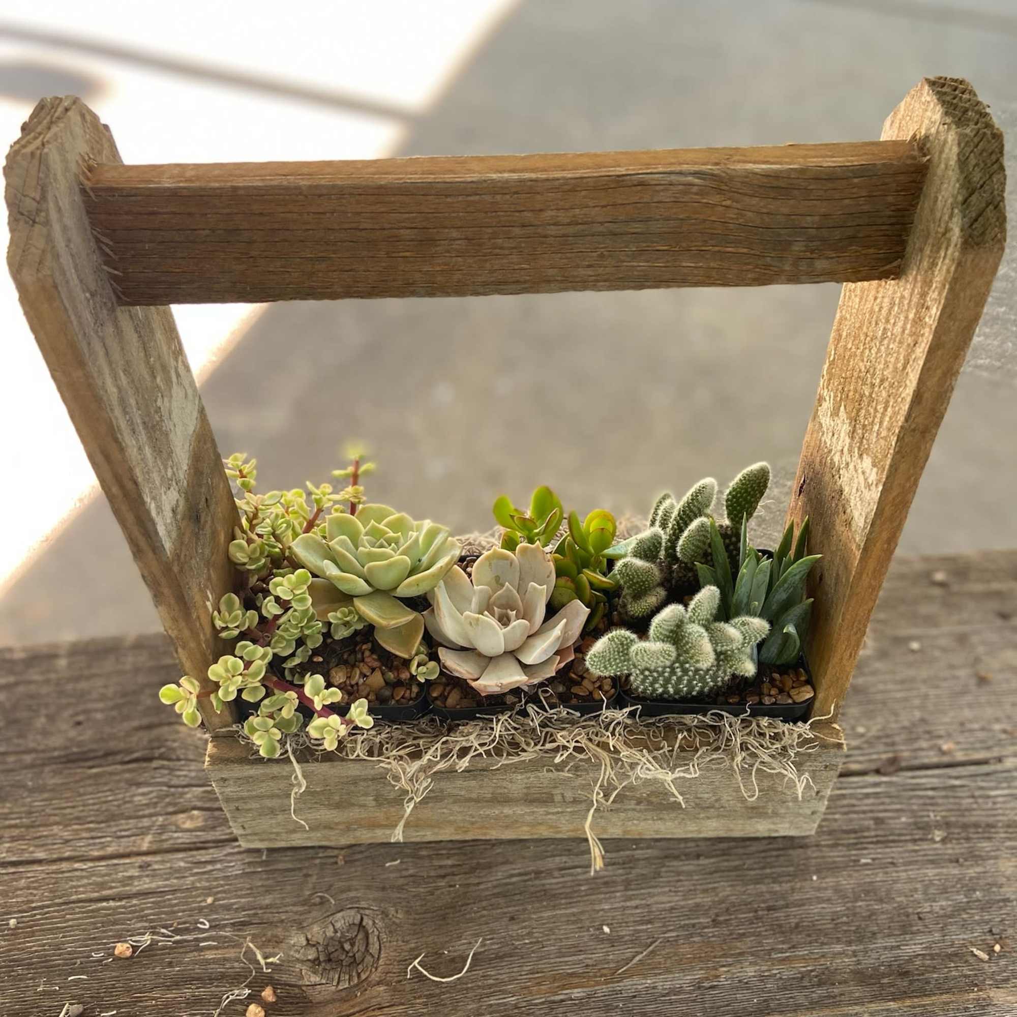 Succulent arrangement in a rustic wooden basket planter