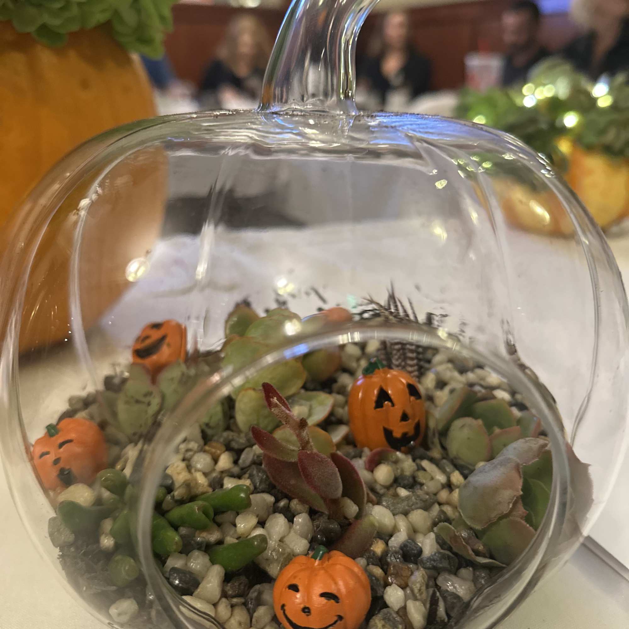 Halloween Succulents 