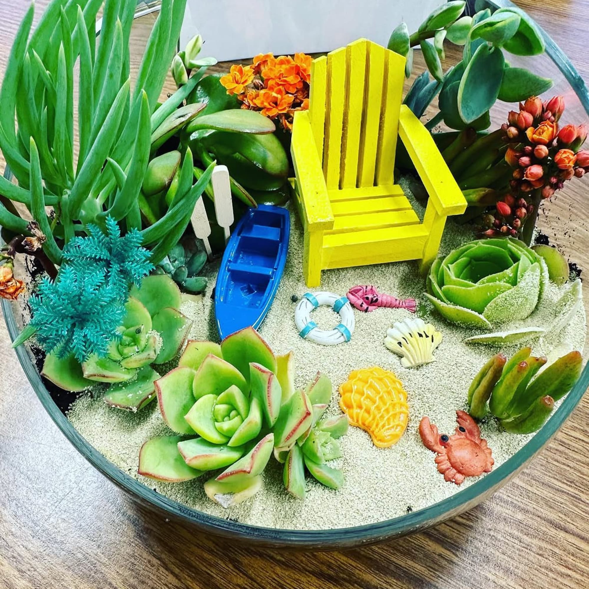 Beach Summer Succulent