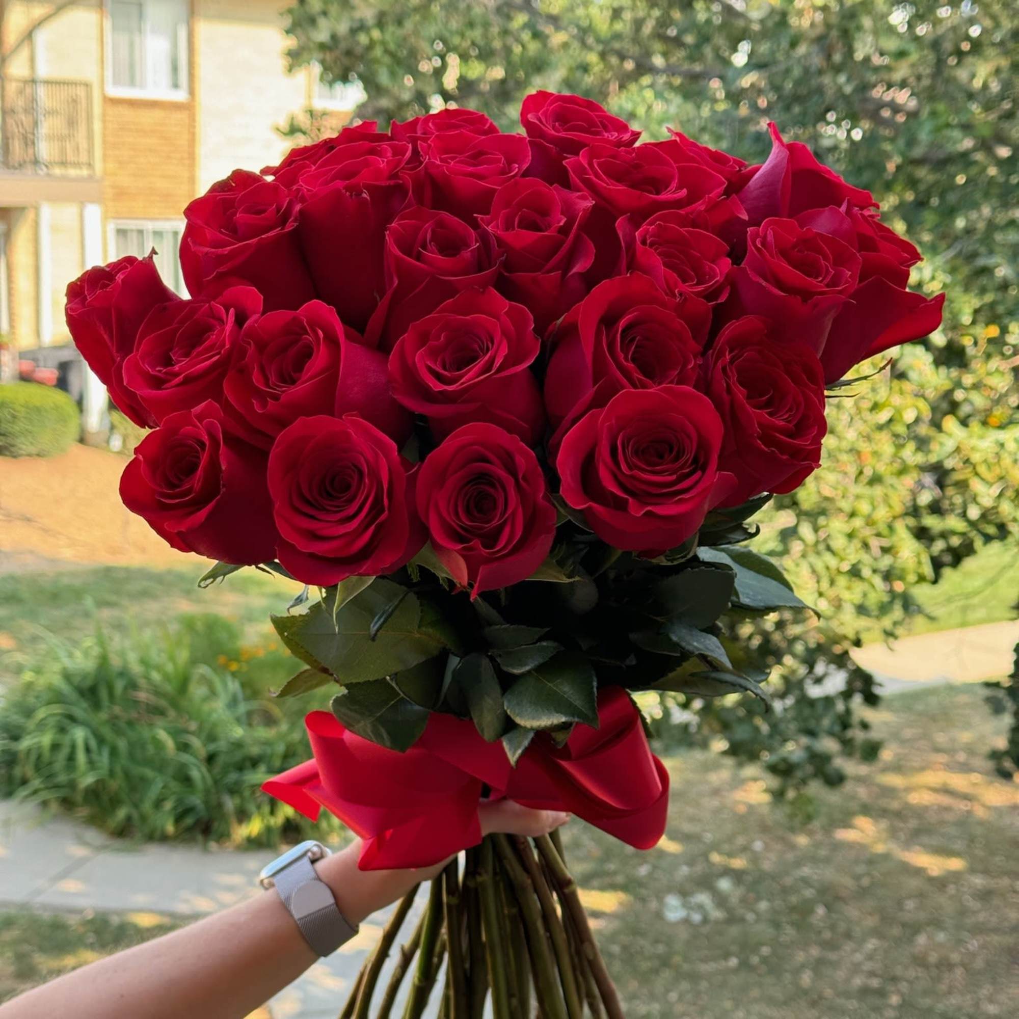 Bouquet of red roses tied with a red ribbon