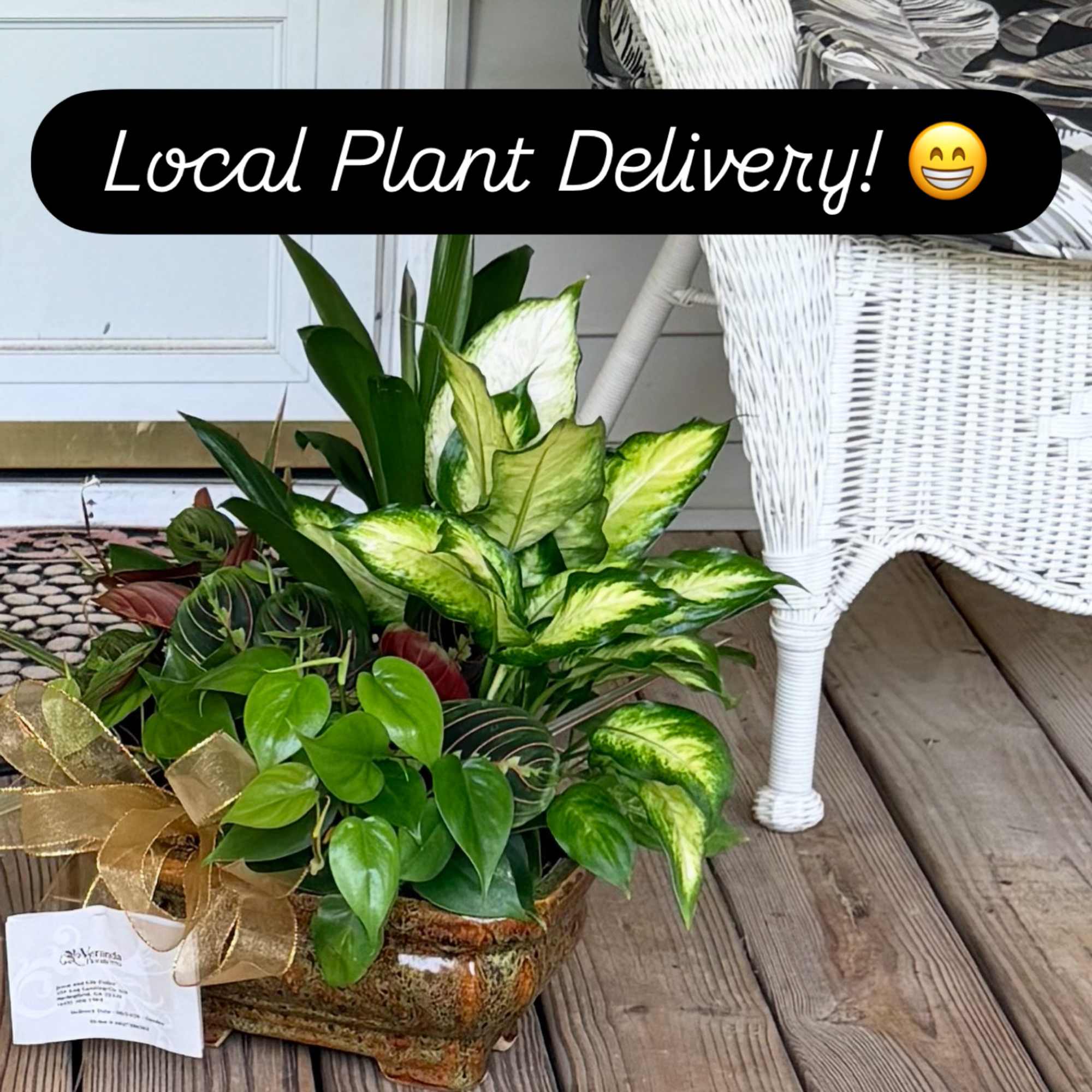 Mixed potted houseplants in a rectangular ceramic planter with a gold ribbon.