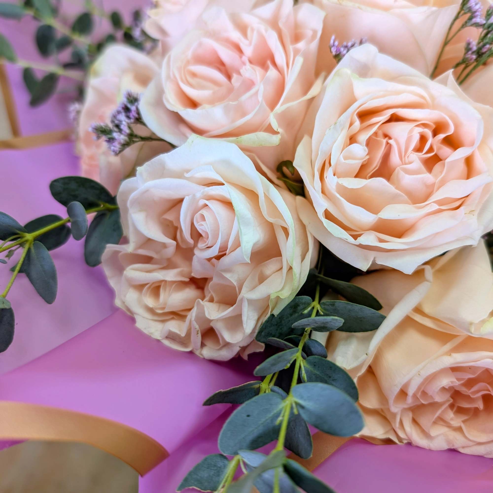 Bouquet of pale peach roses with eucalyptus on pink wrapping paper