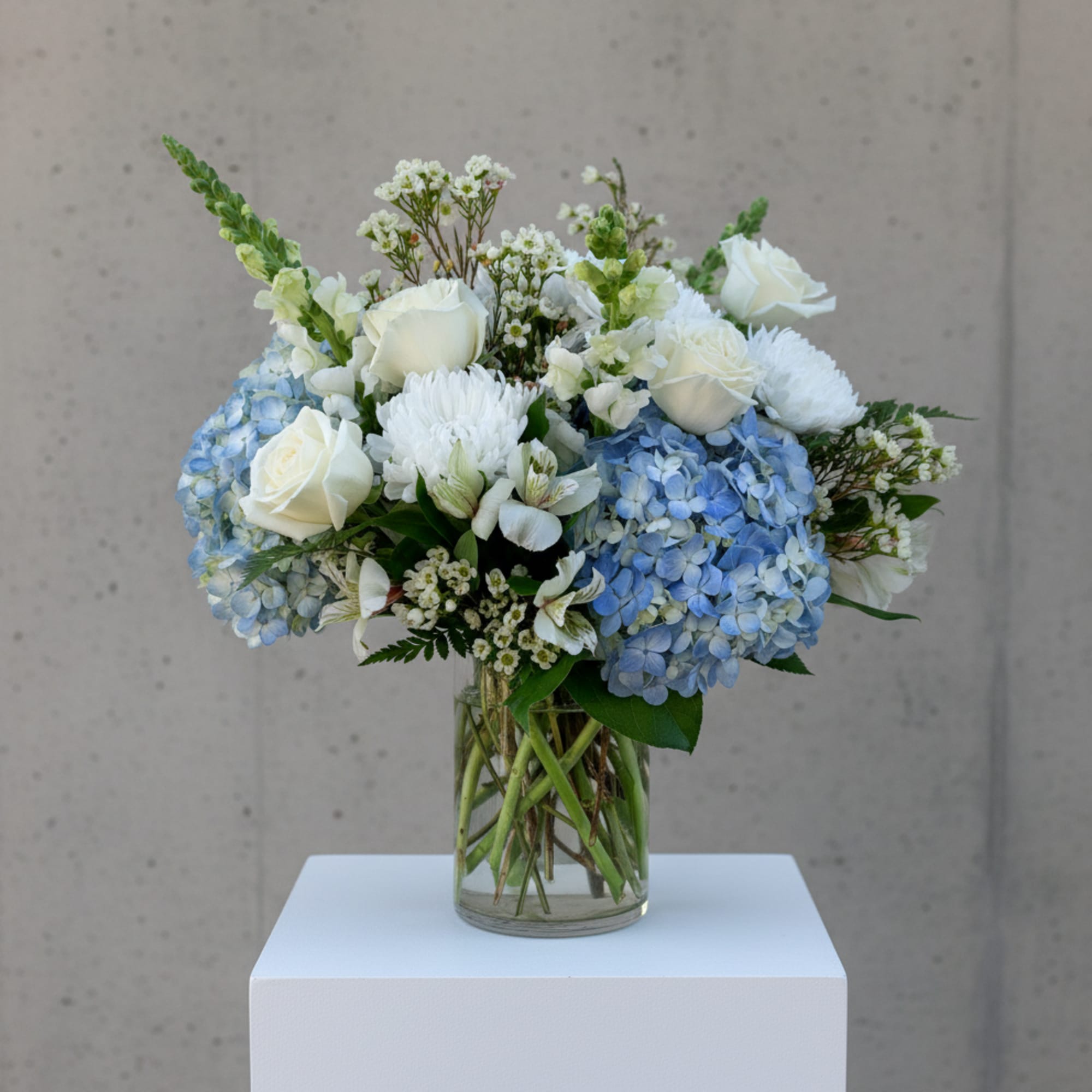 White roses and blue hydrangeas arranged in a clear glass vase