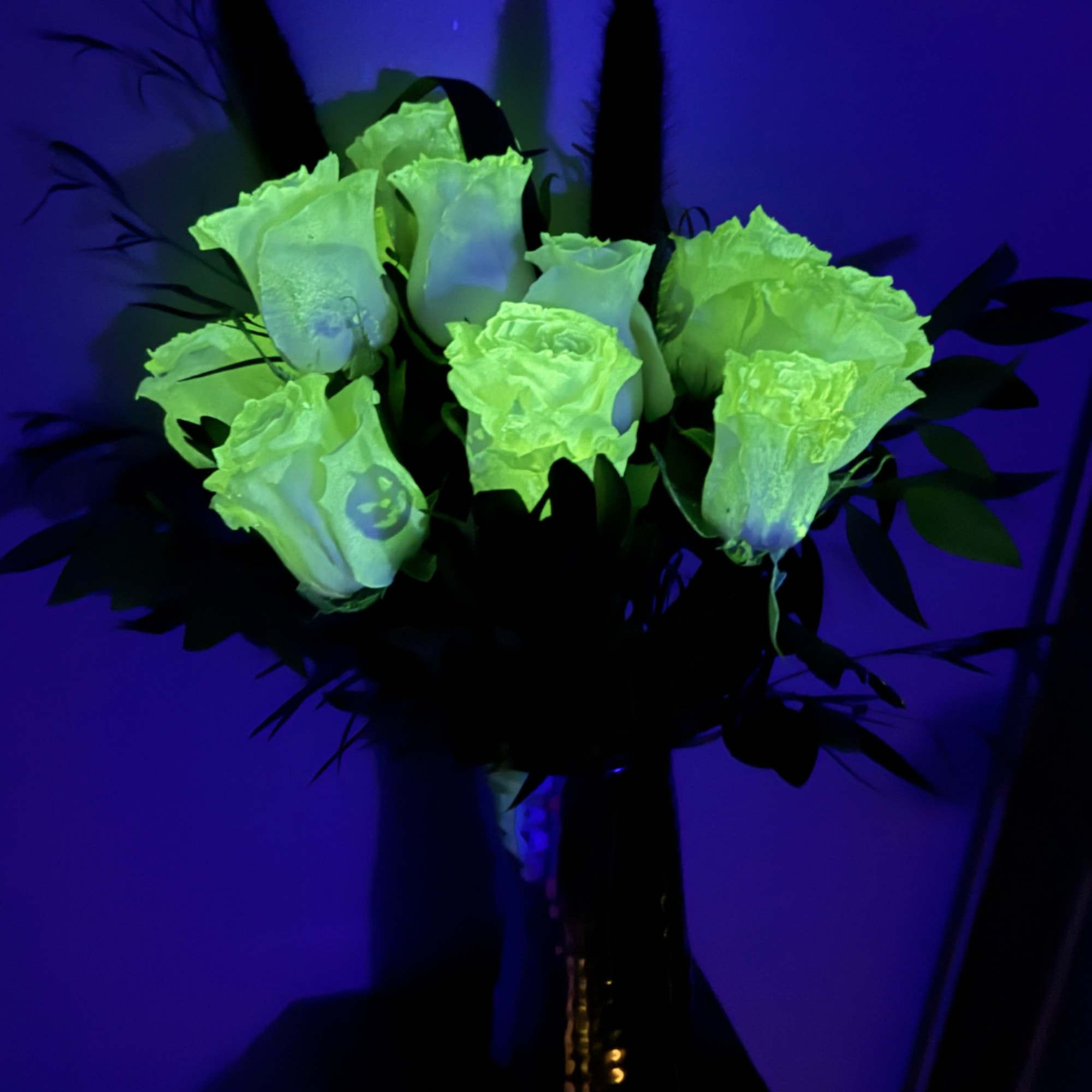 Bouquet of pale roses glowing under blue light