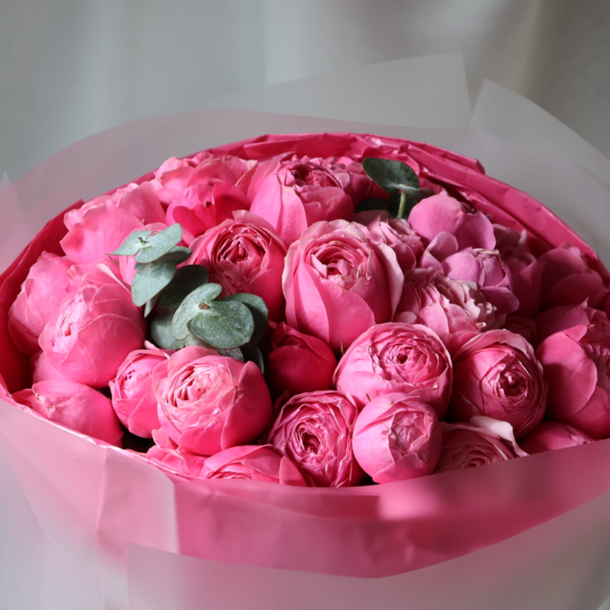 Pink rose bouquet wrapped in translucent paper