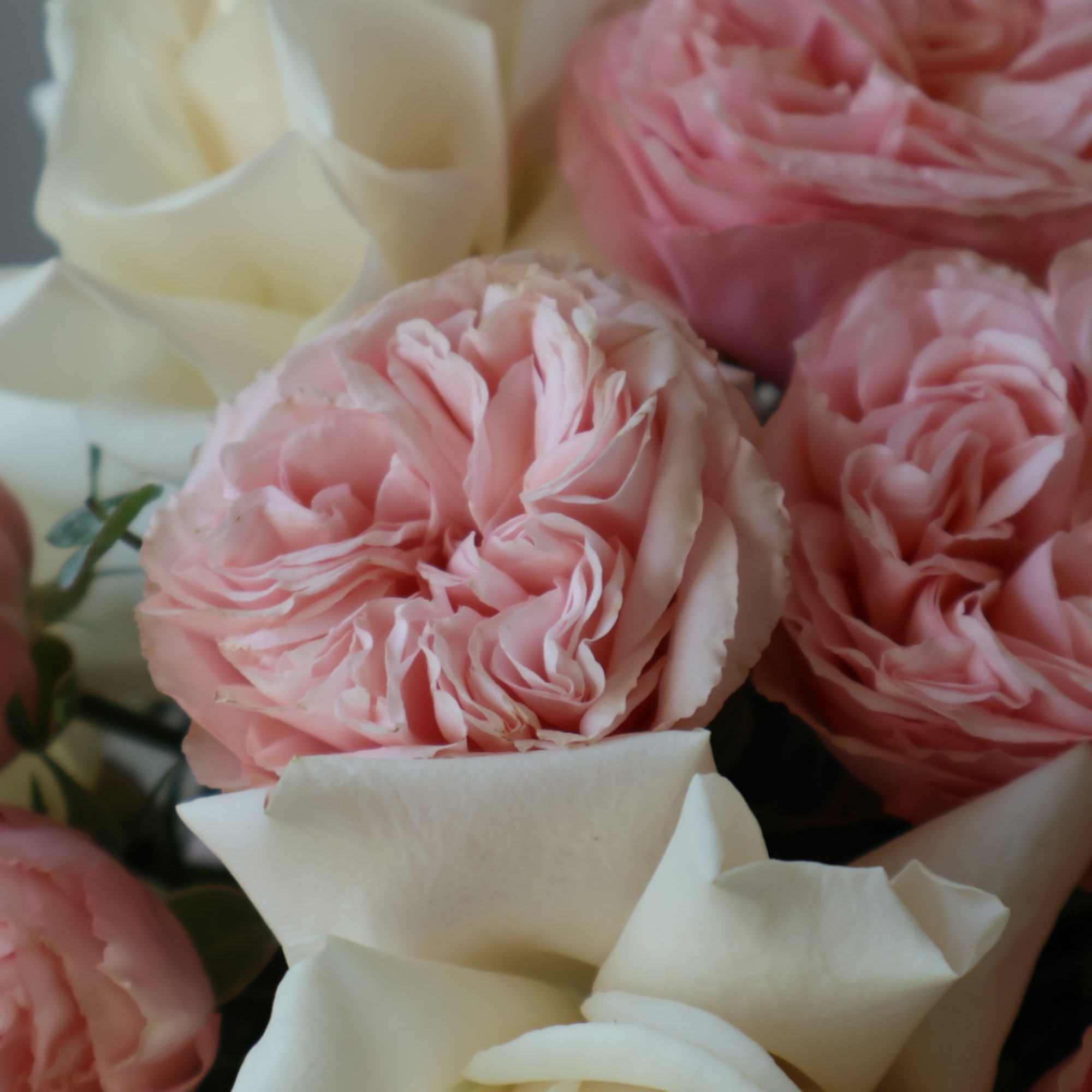A tightly packed dome of blush pink and ivory roses sits in, photo 5 of 8