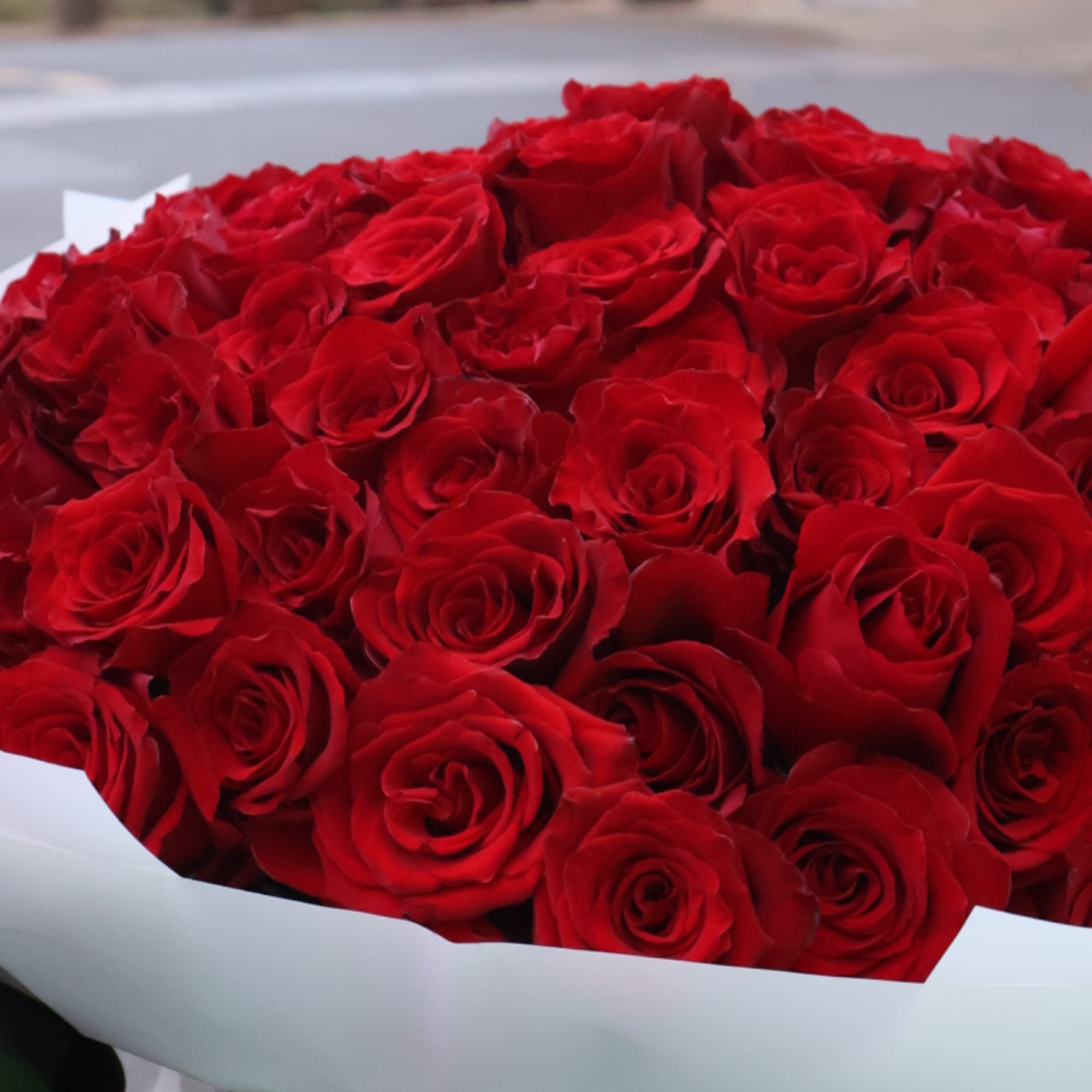 Bouquet of red roses wrapped in white paper