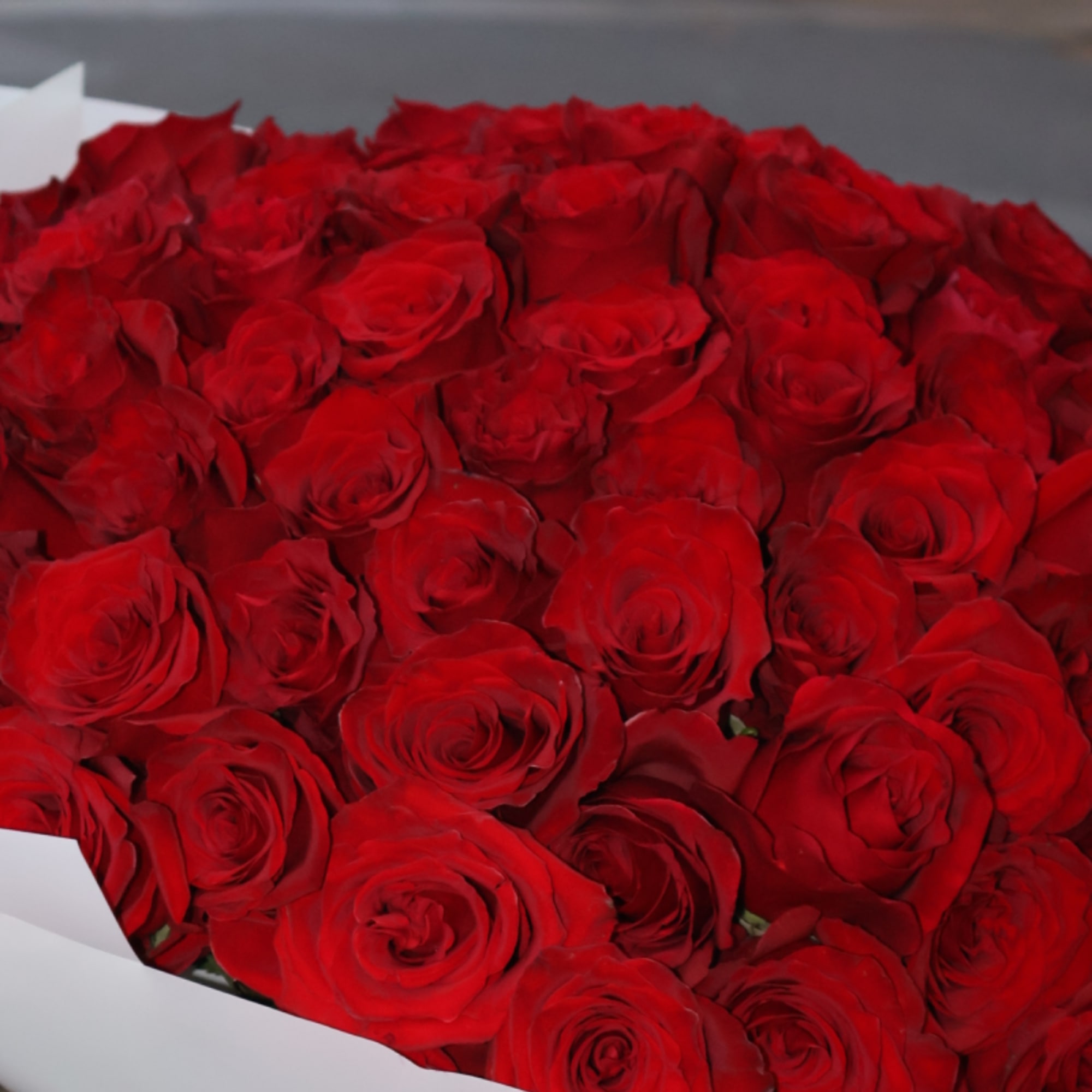 Bouquet of red roses wrapped in white paper