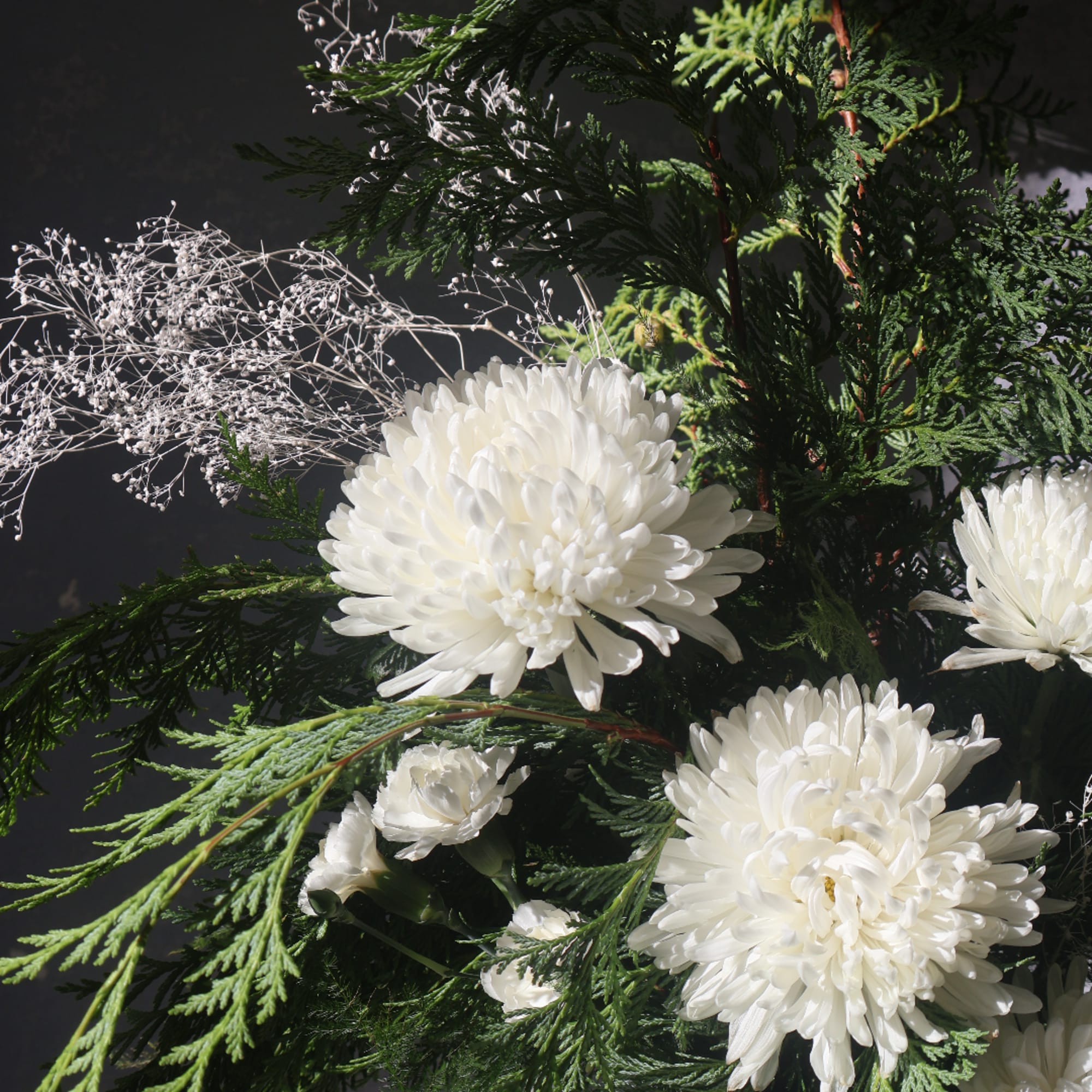 White chrysanthemum blooms with evergreen foliage and baby's breath