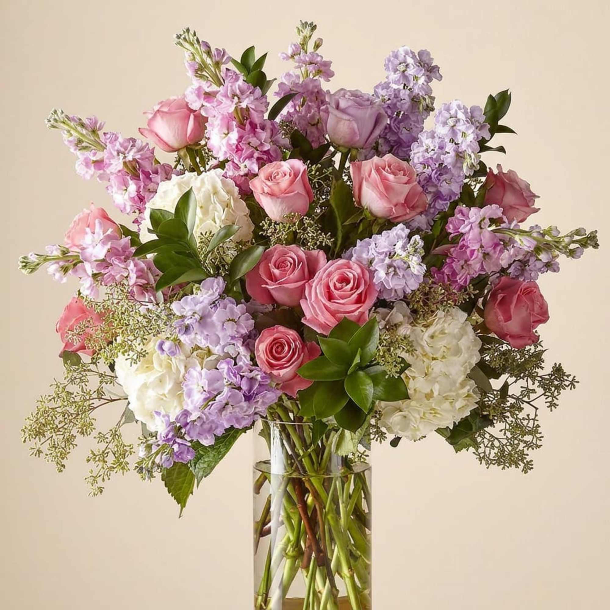 Experience the perfect blend of modern elegance and natural beauty with our