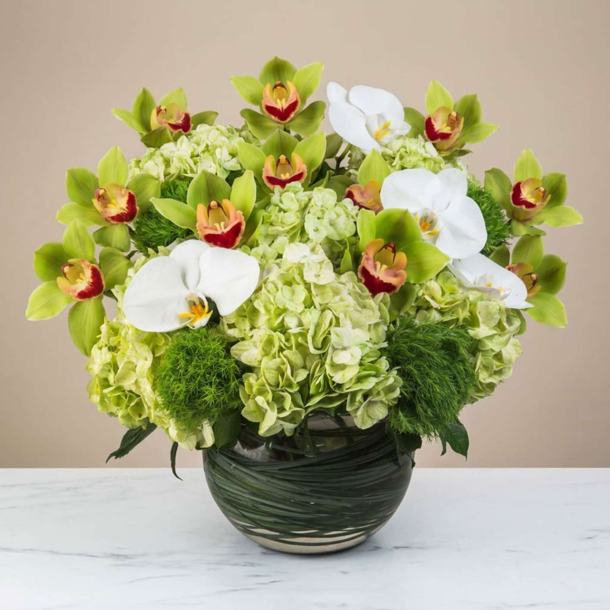 Our Lucky Together flower arrangement featuring cymbidium orchids, green hydrangea, and green