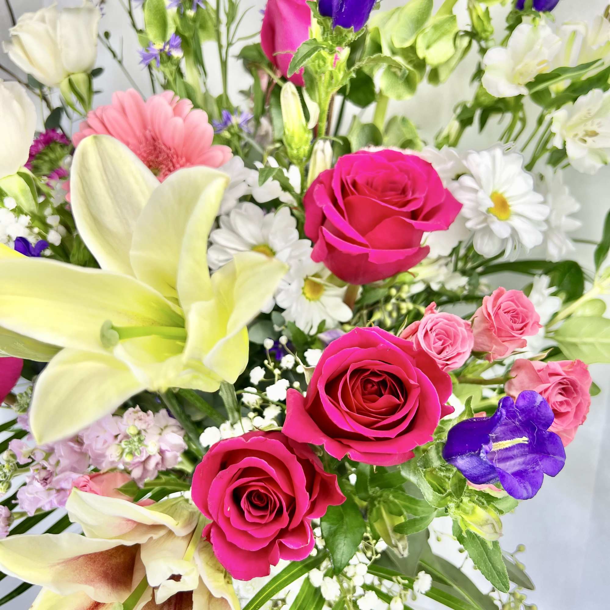 This arrangement contains stargazer lilies, bells of ireland, stock, blue iris, roses