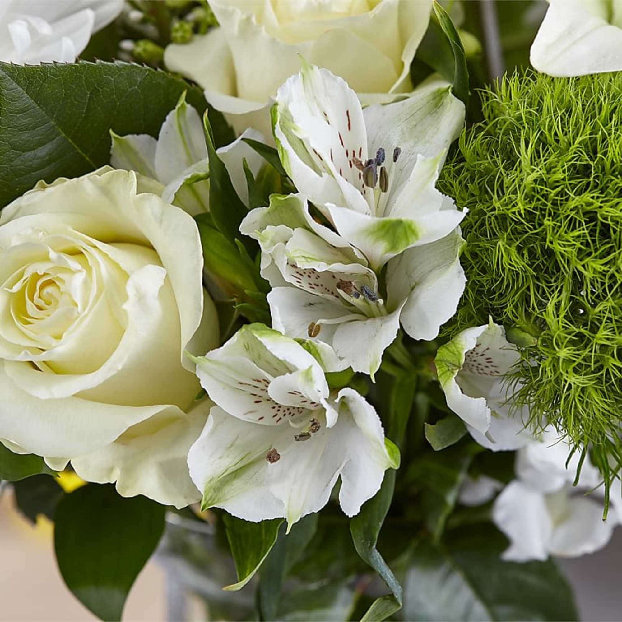 White roses and alstroemeria with bright green filler
