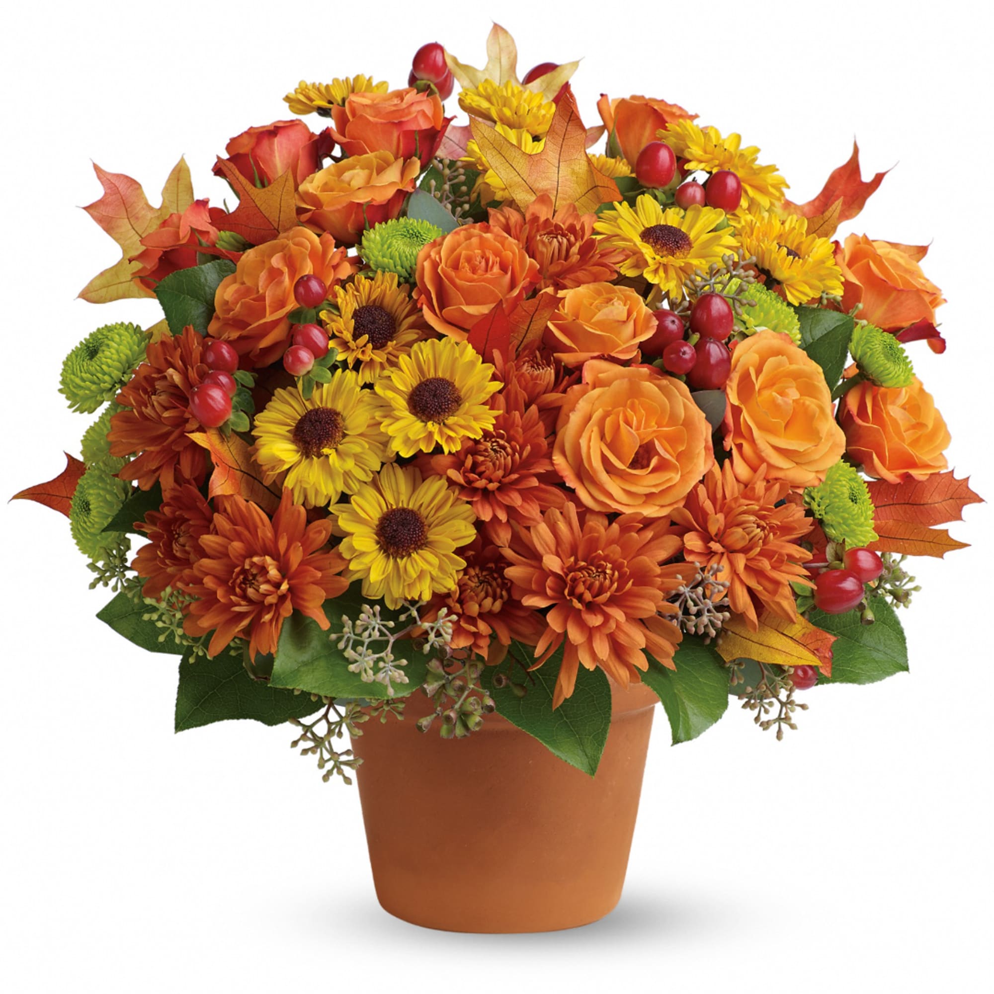 Orange roses and yellow chrysanthemums in a terracotta pot