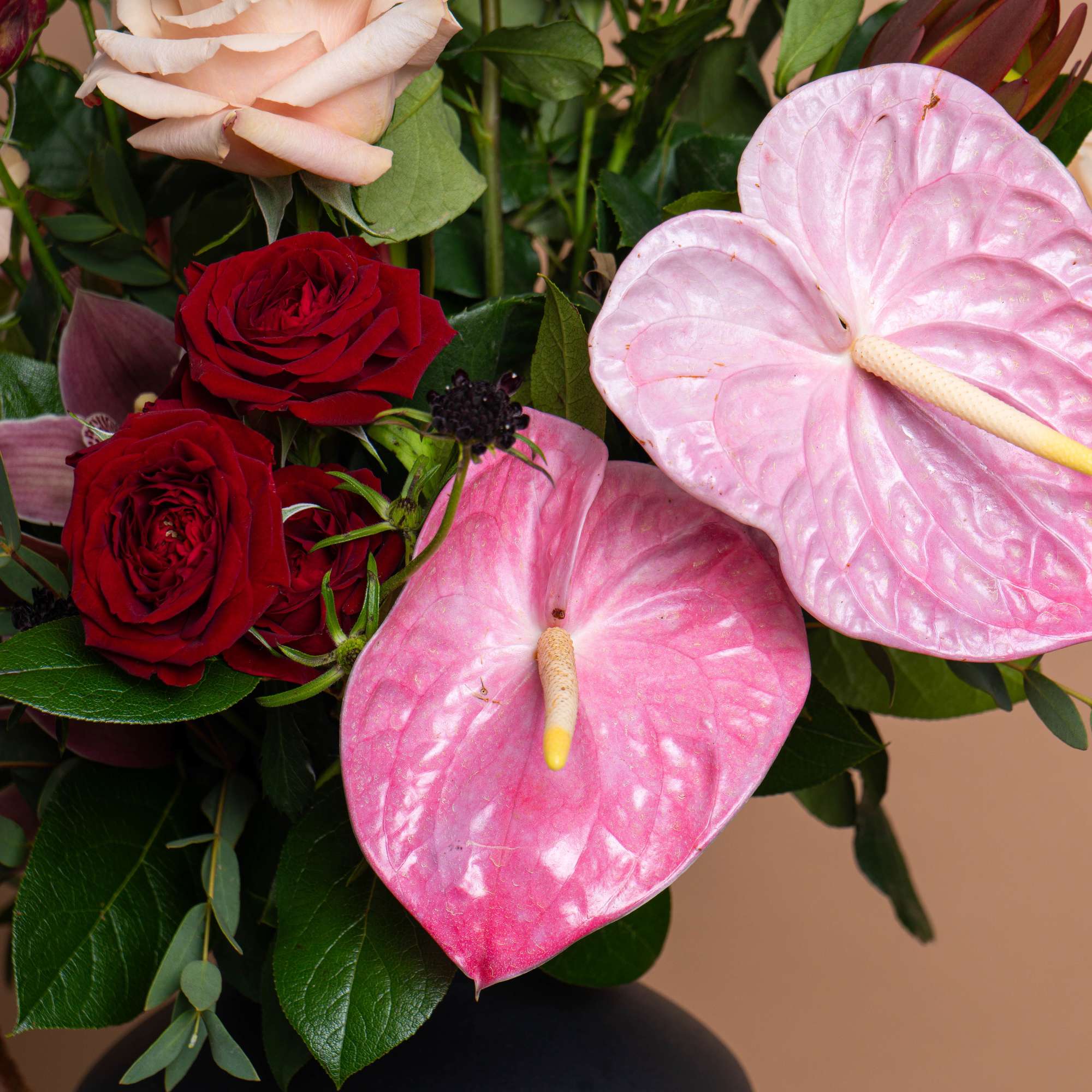 Bouquet of red and blush roses with pink anthuriums in a black vase