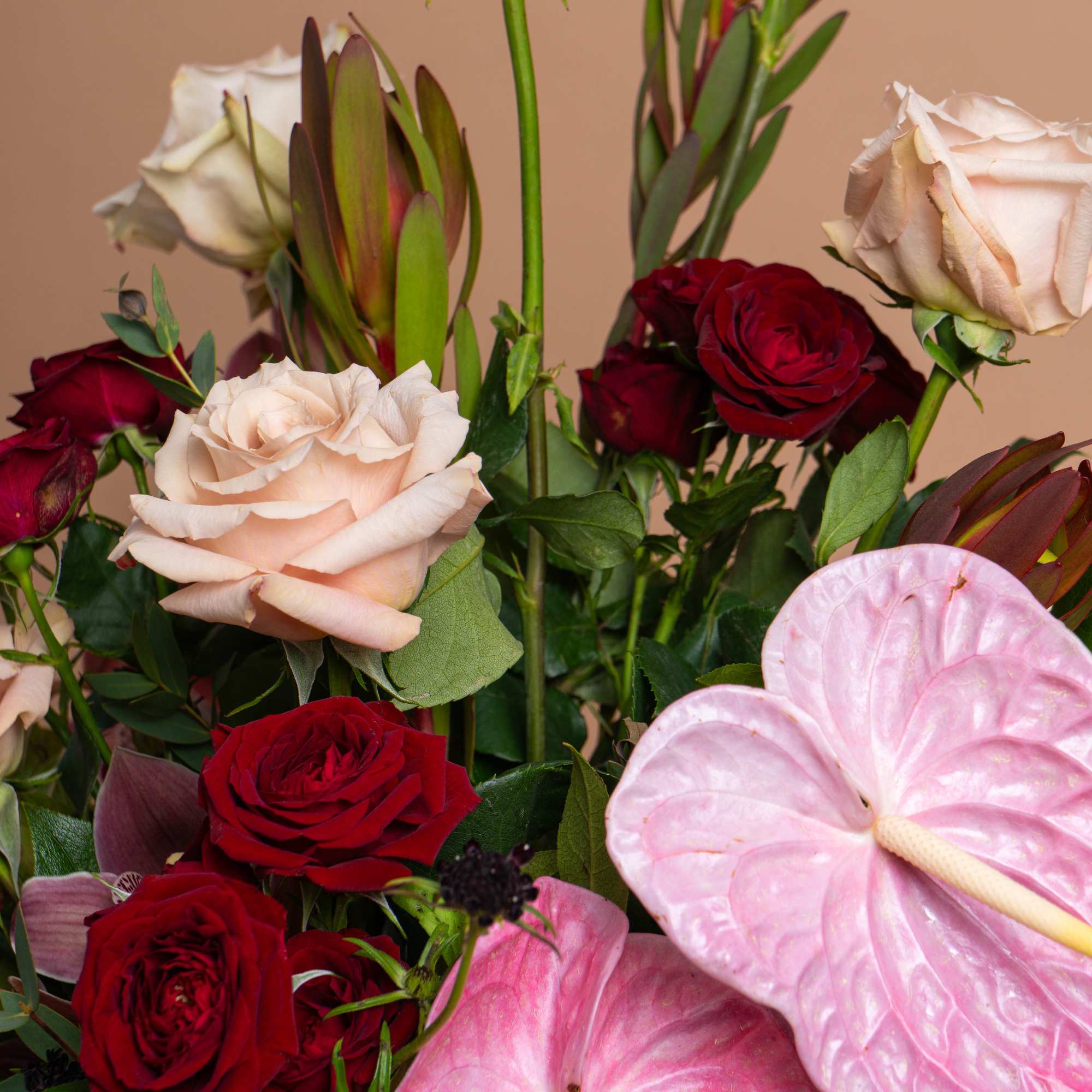 Bouquet of red and blush roses with pink anthuriums