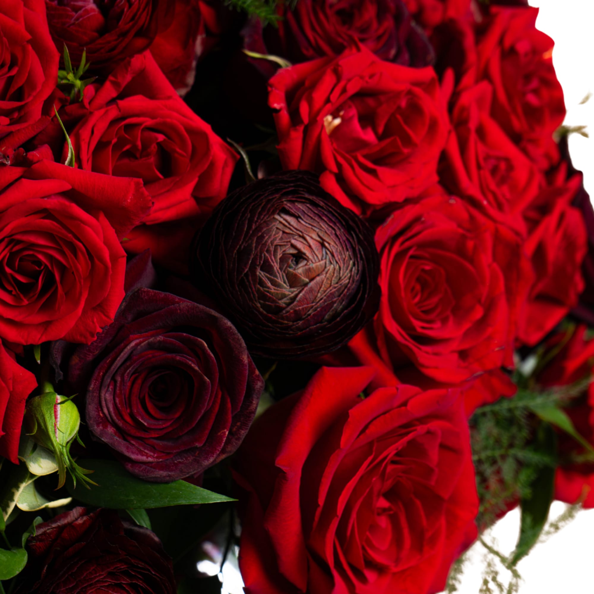 Close-up bouquet of red and dark burgundy roses