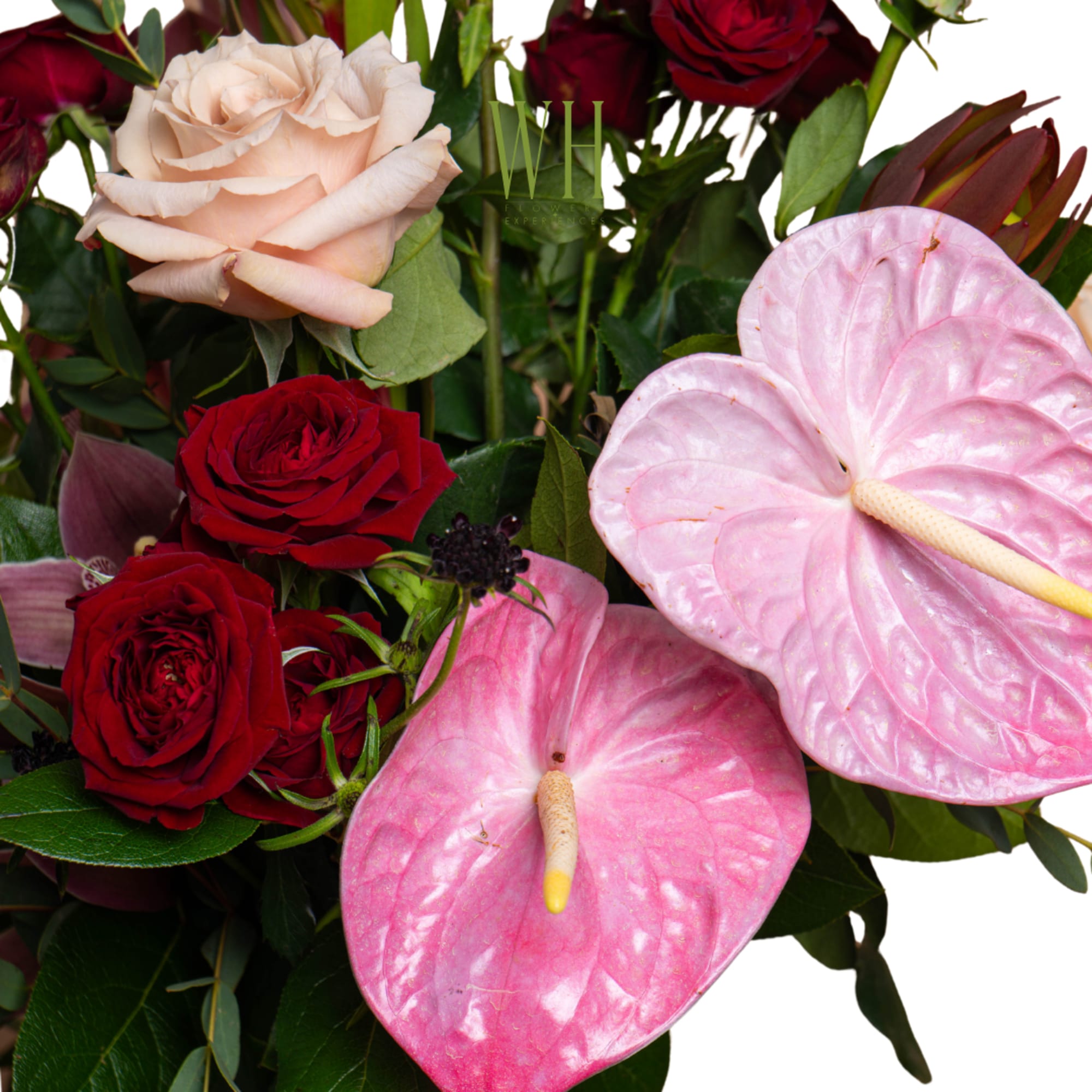 Bouquet of red and blush roses with pink anthuriums