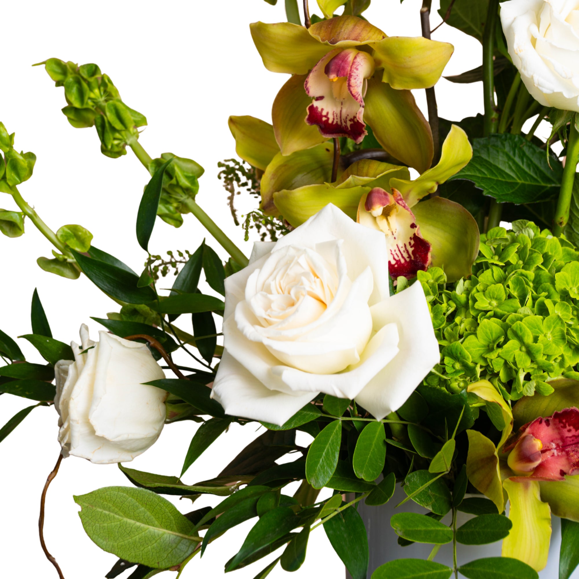 White roses and green orchids in a vase