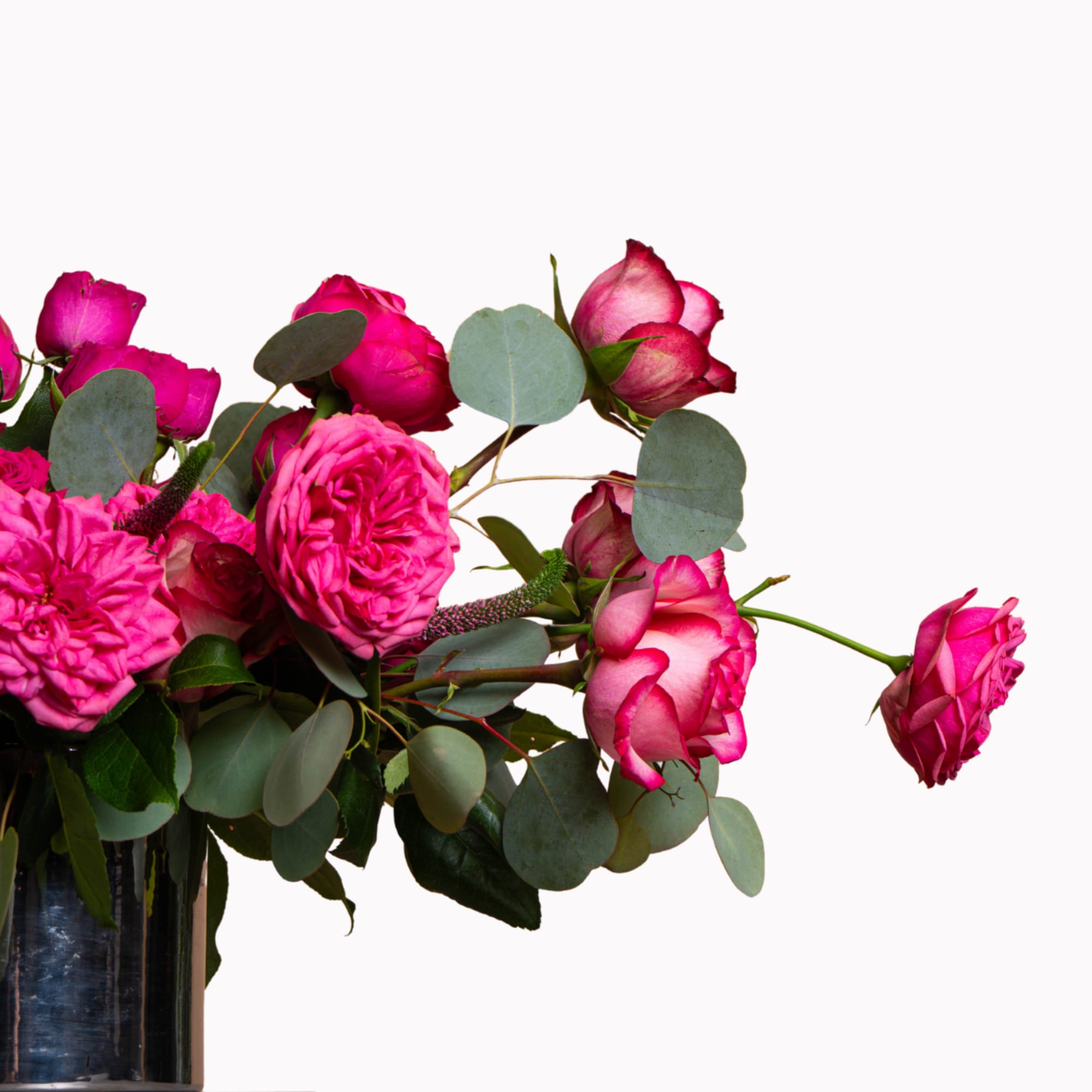 Pink roses in a dark vase with round eucalyptus leaves