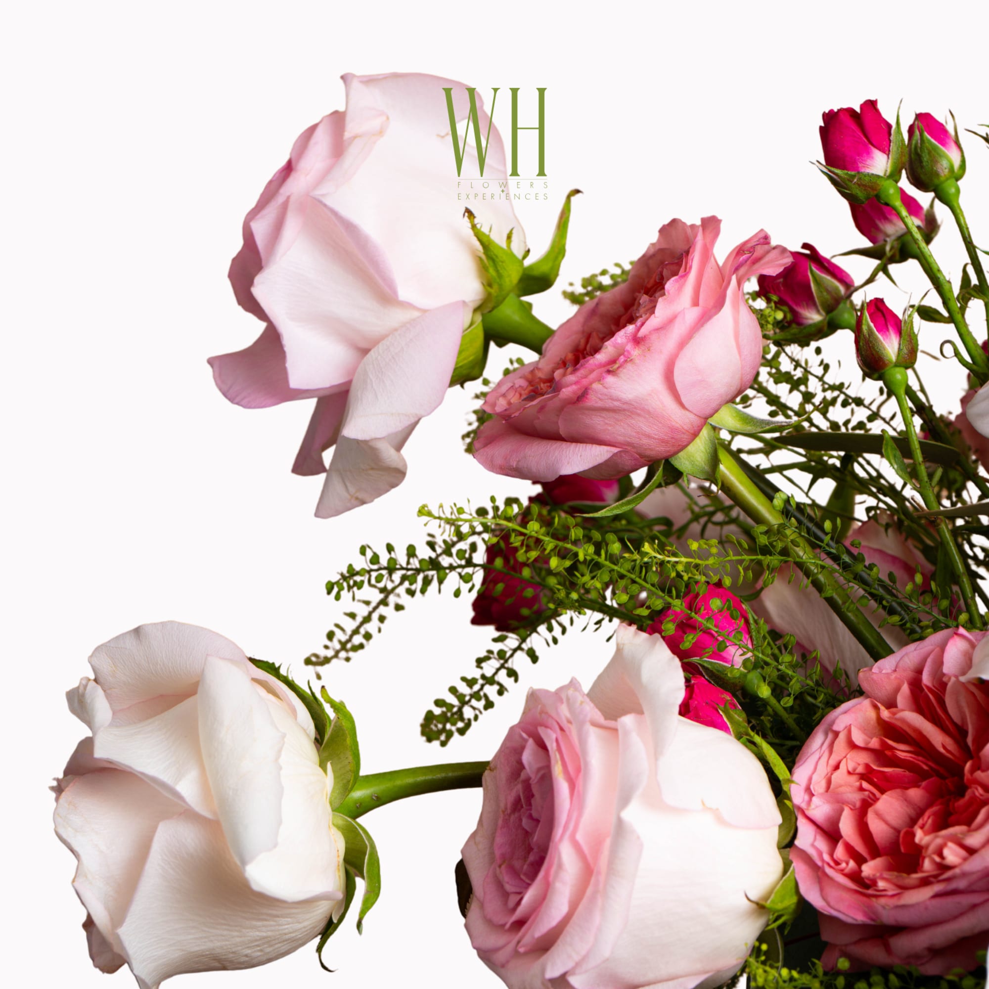 Pink and white roses with small filler flowers on a white background