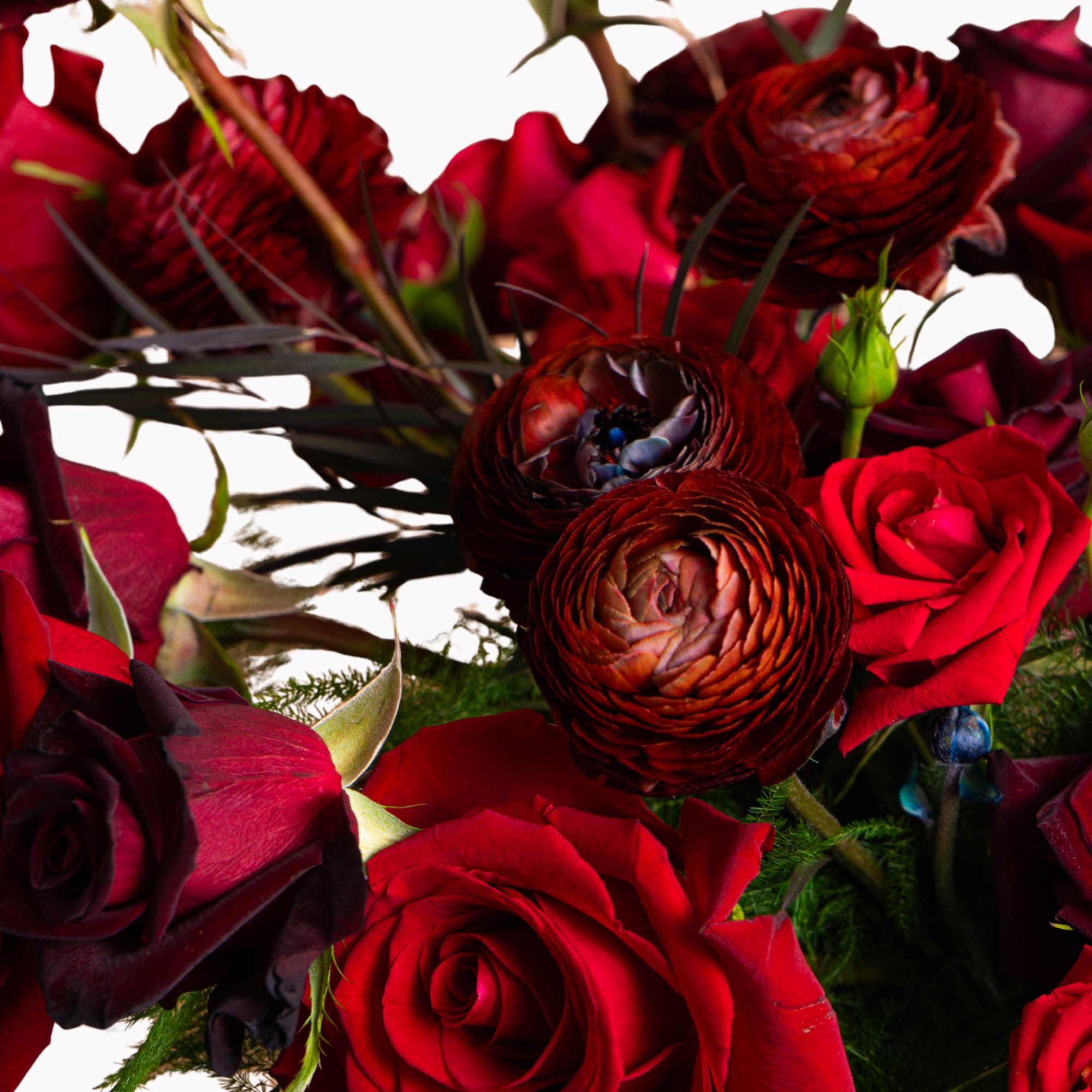 Bouquet of red roses and dark red ranunculus flowers