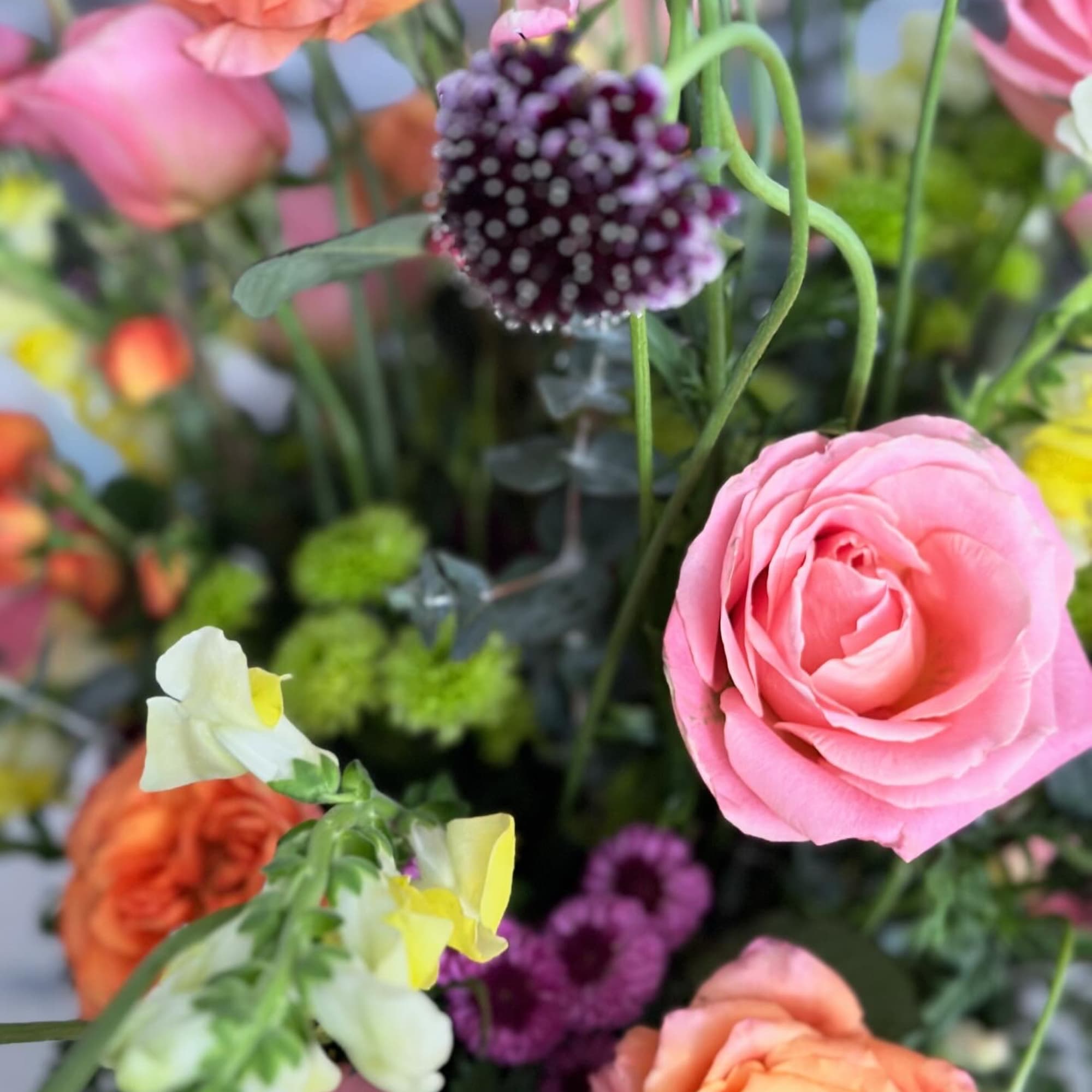 A floral arrangement full of life, color, and natural movement, inspired by, photo 2 of 2
