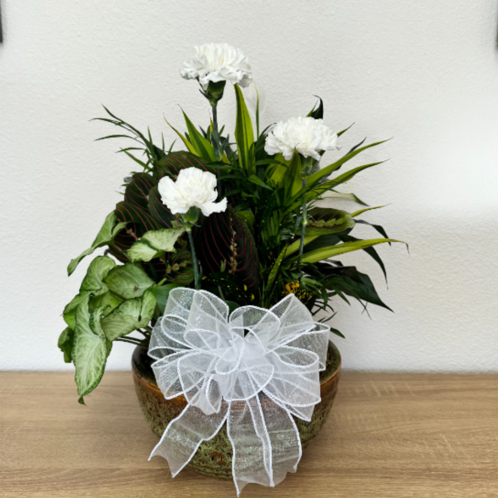 Our dish gardens are mixed plants in a ceramic container.
Approximately 16 H