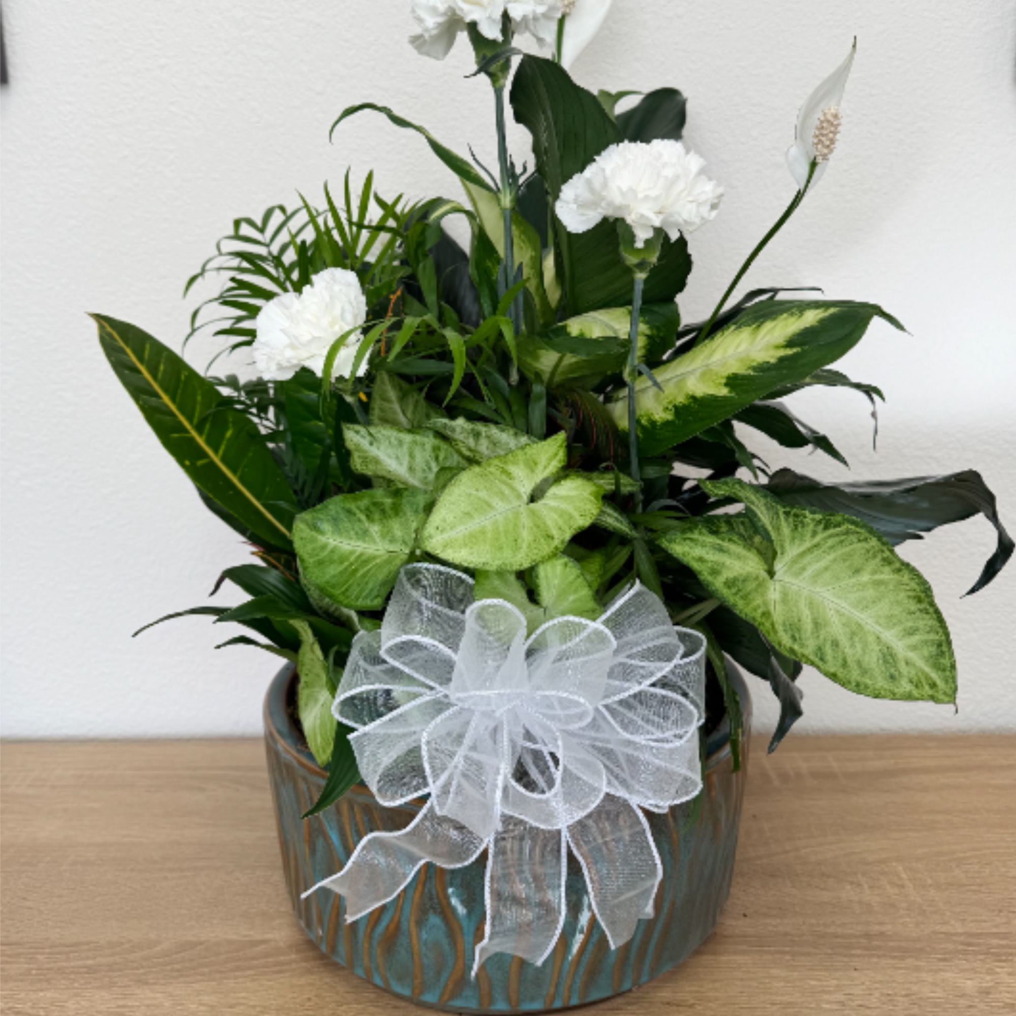 Our dish gardens are mixed plants in a ceramic container.
Approximately 18 H