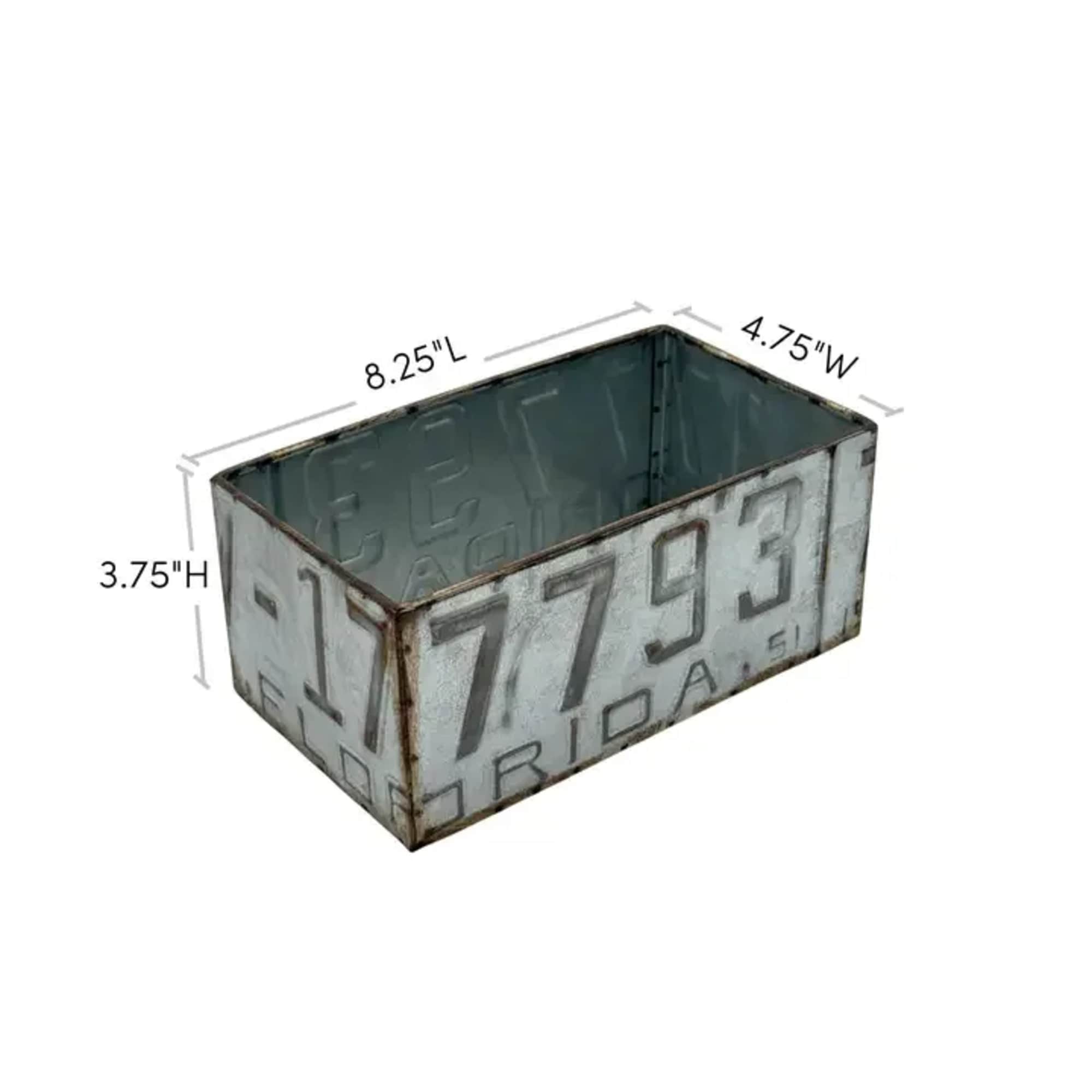 2 foliage plants in a decorative keepsake license plate tin, photo 3 of 3