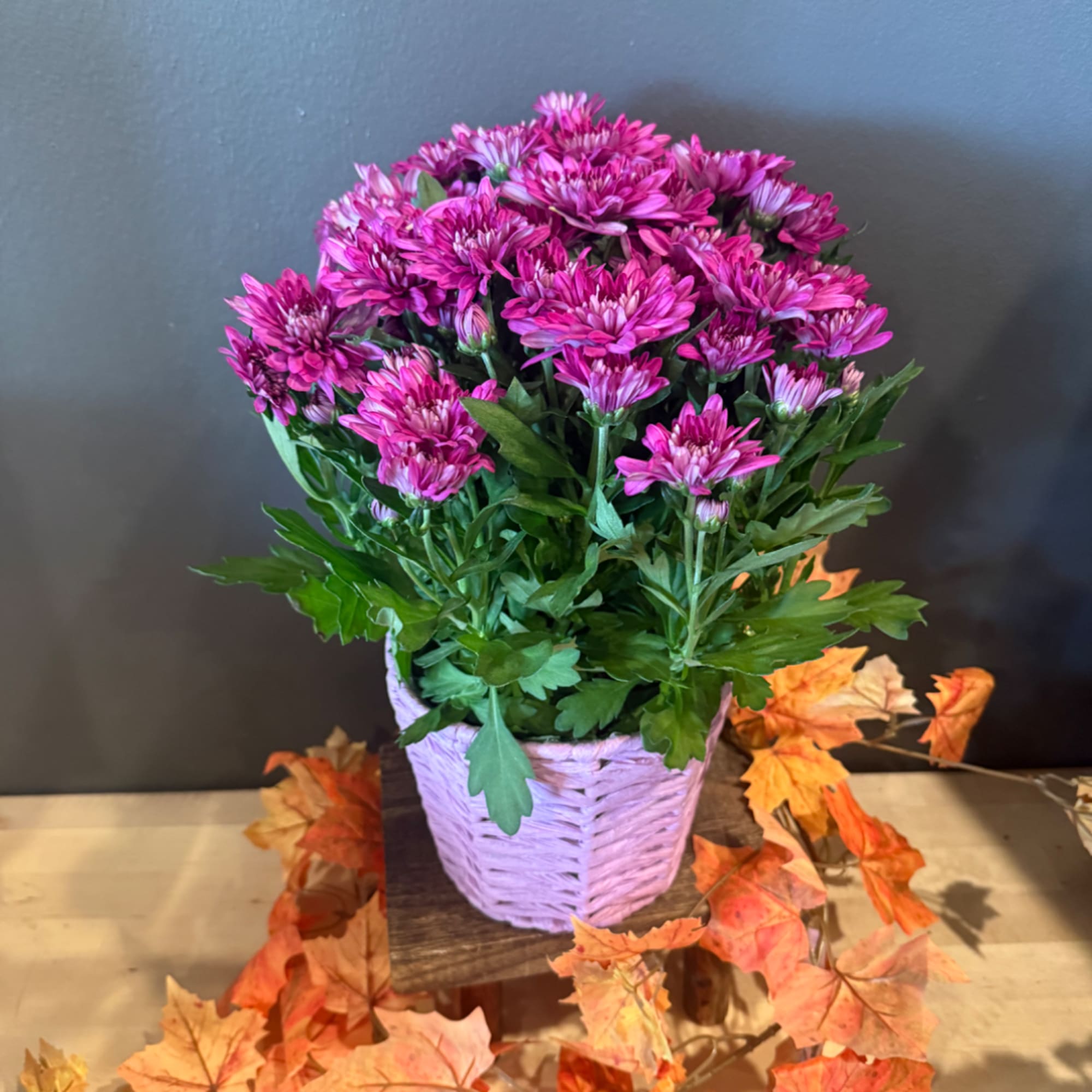 Pink chrysanthemum bouquet in a lavender woven basket