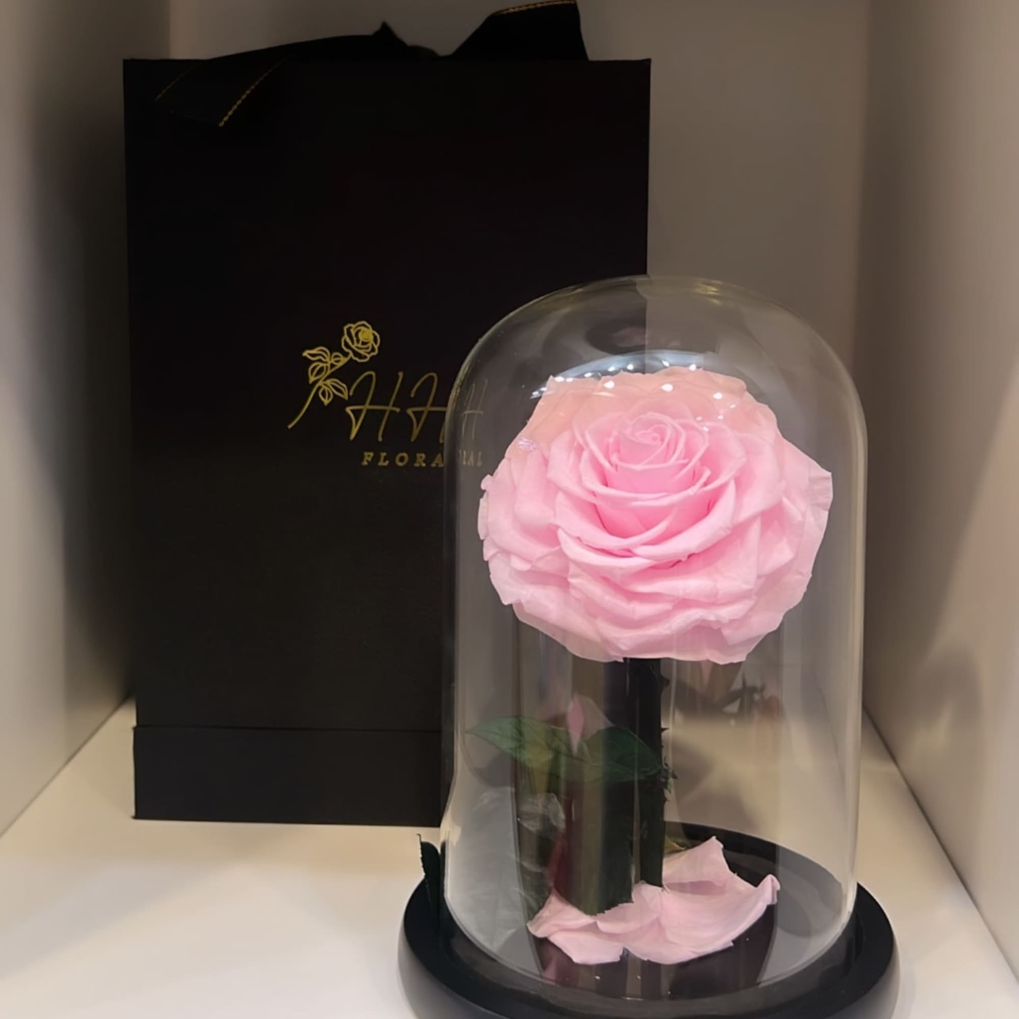 Single pink rose under a clear dome on a black base