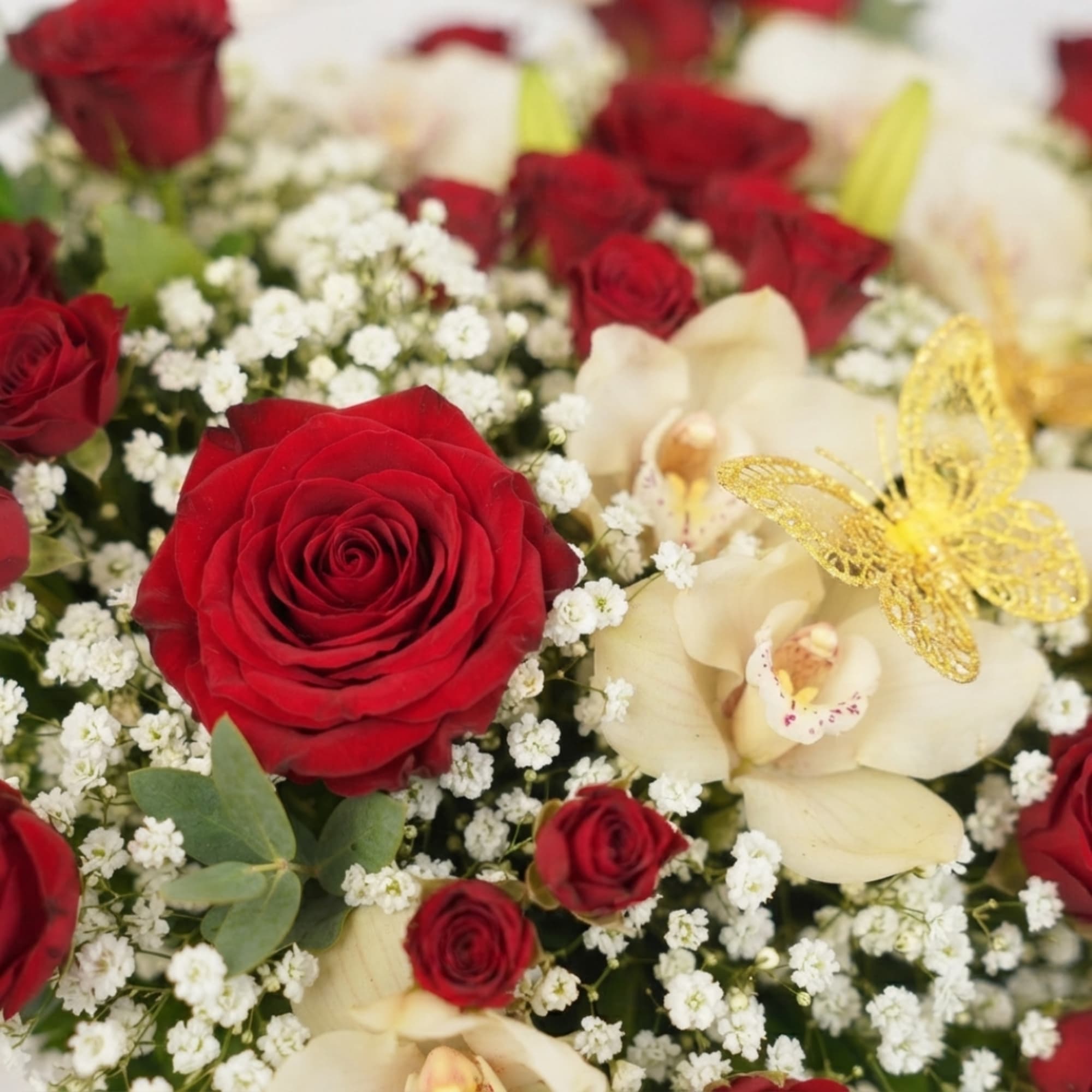 Red roses and white orchids with baby's breath and a gold butterfly accent