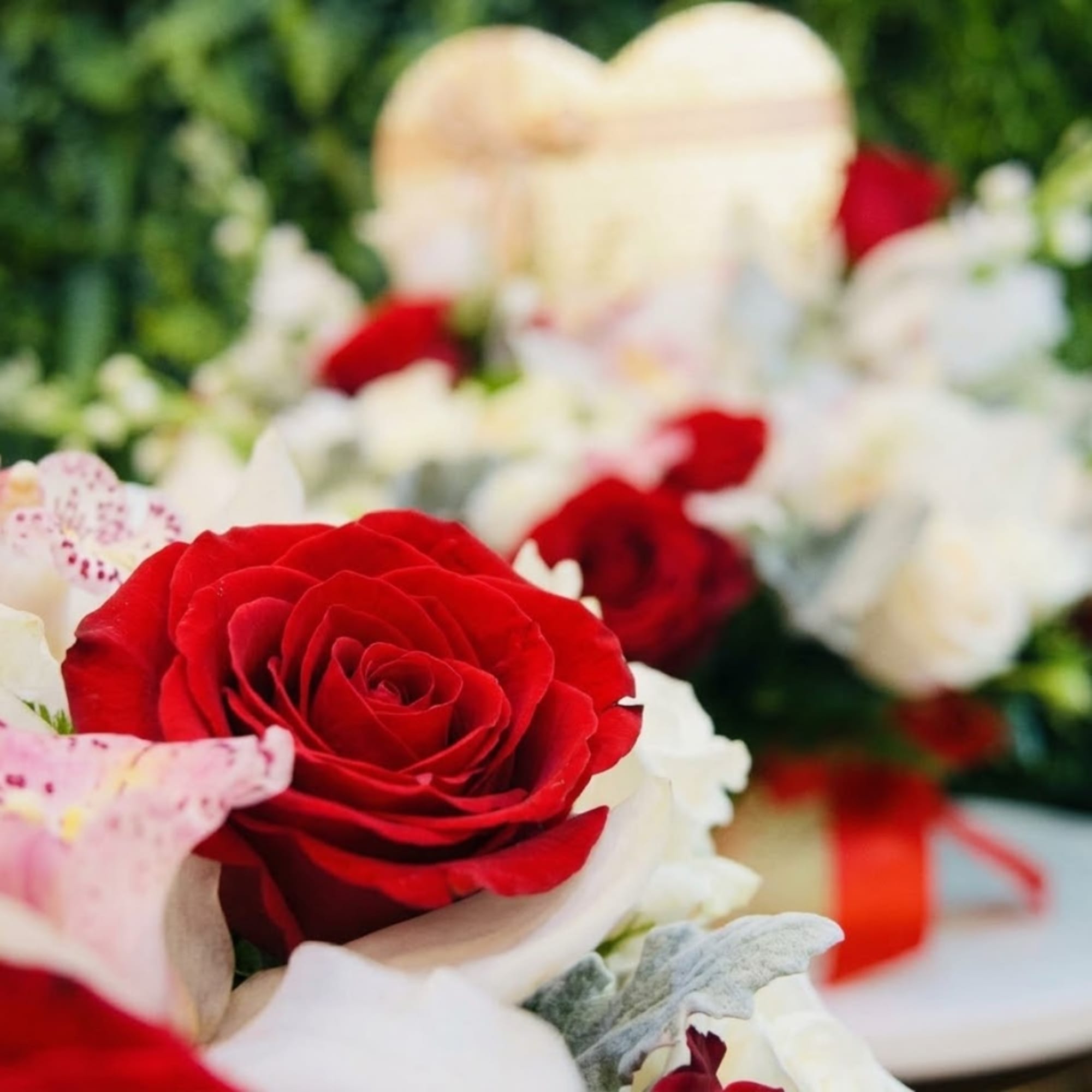 Red roses with white flowers in a bouquet