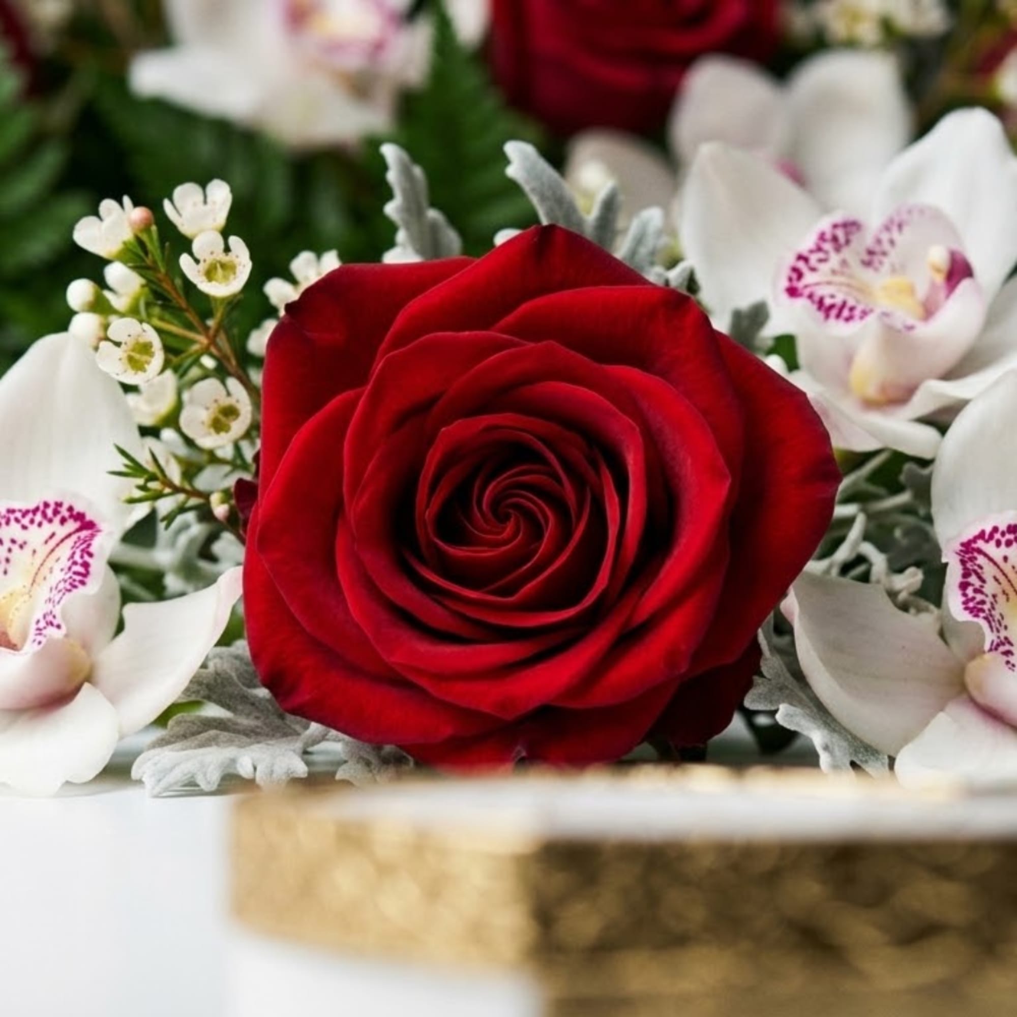 Red rose surrounded by white orchids and small white filler flowers