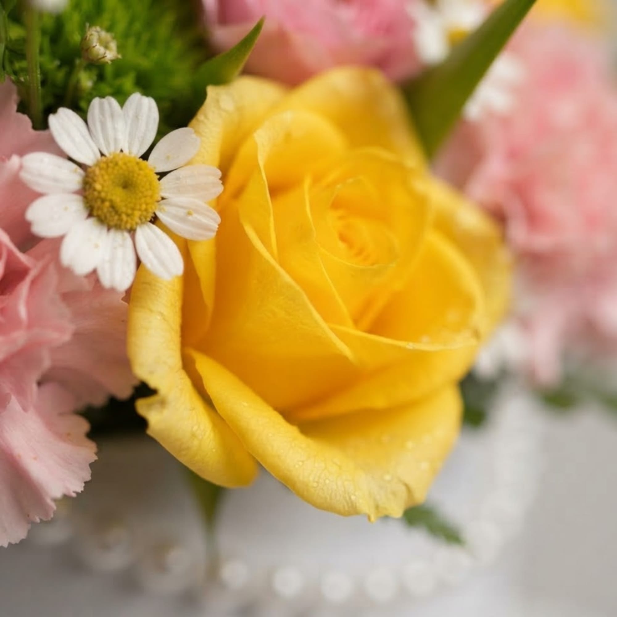 Yellow rose with pink flowers and a small white daisy
