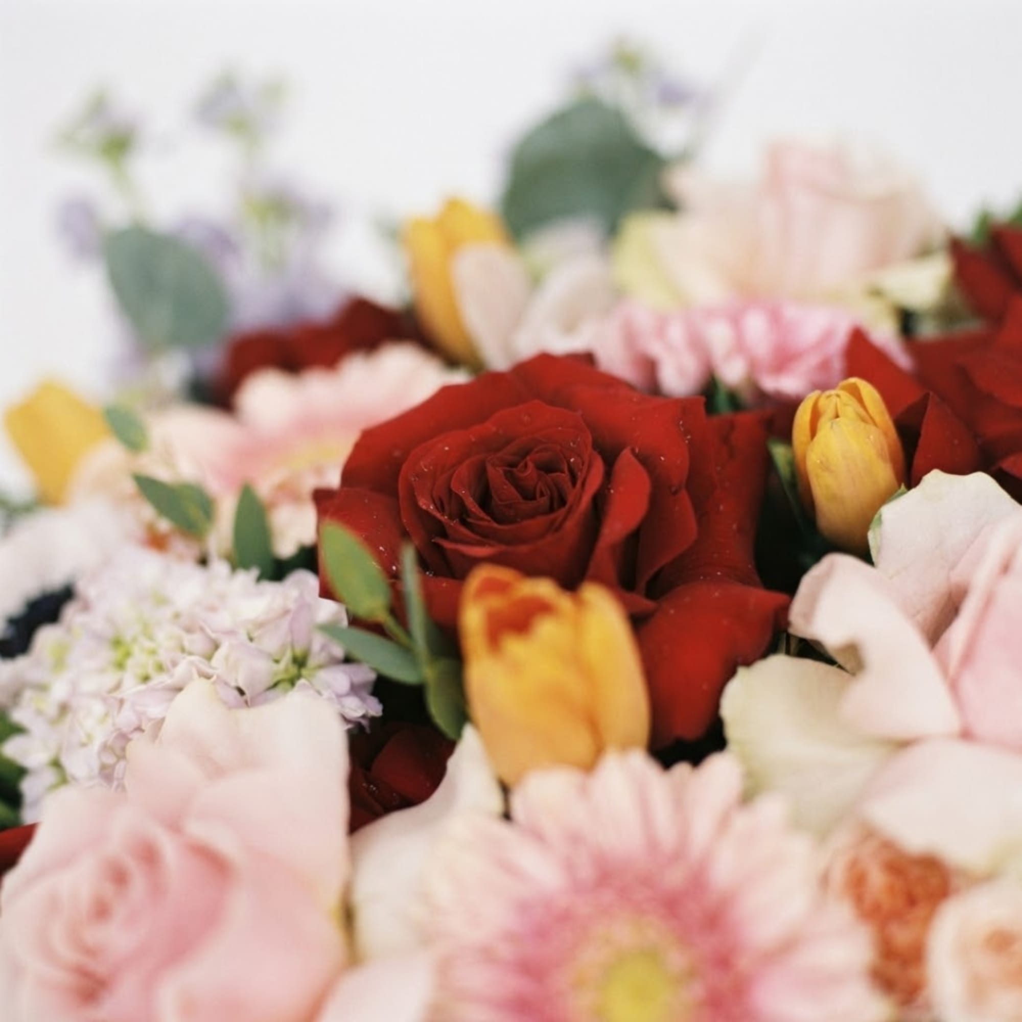 Mixed bouquet with red roses, pink blooms, and yellow tulips
