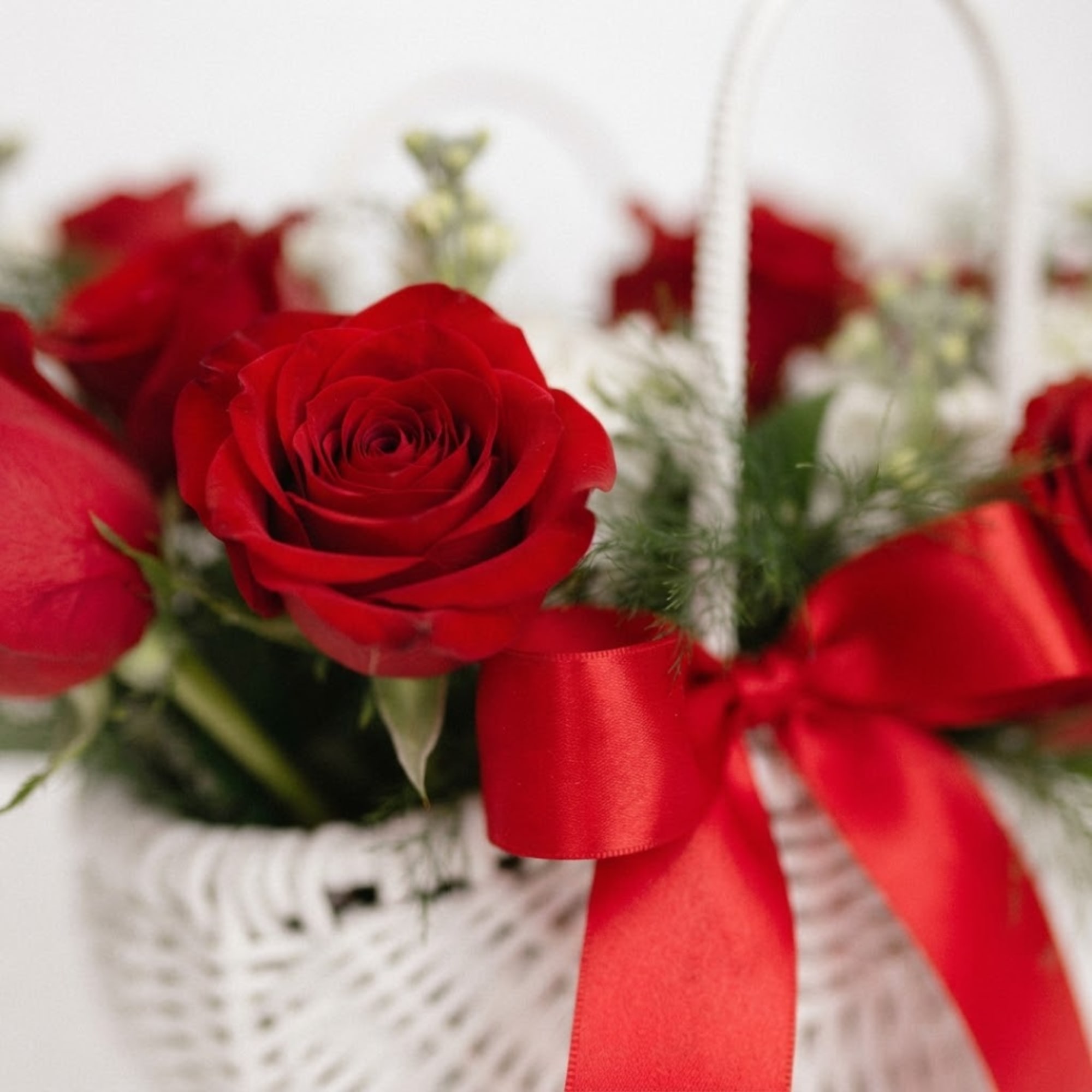 Red roses in a white basket with a red ribbon