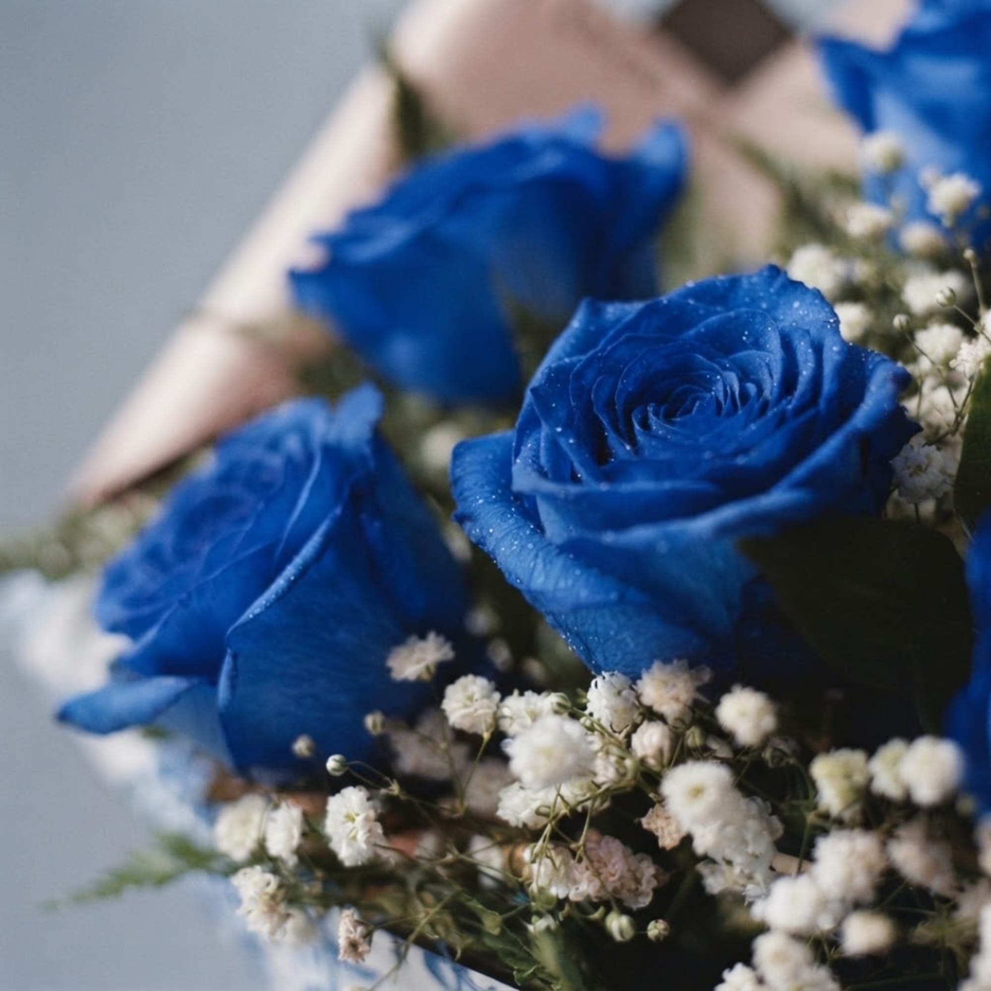 Bouquet of blue roses with small white filler flowers
