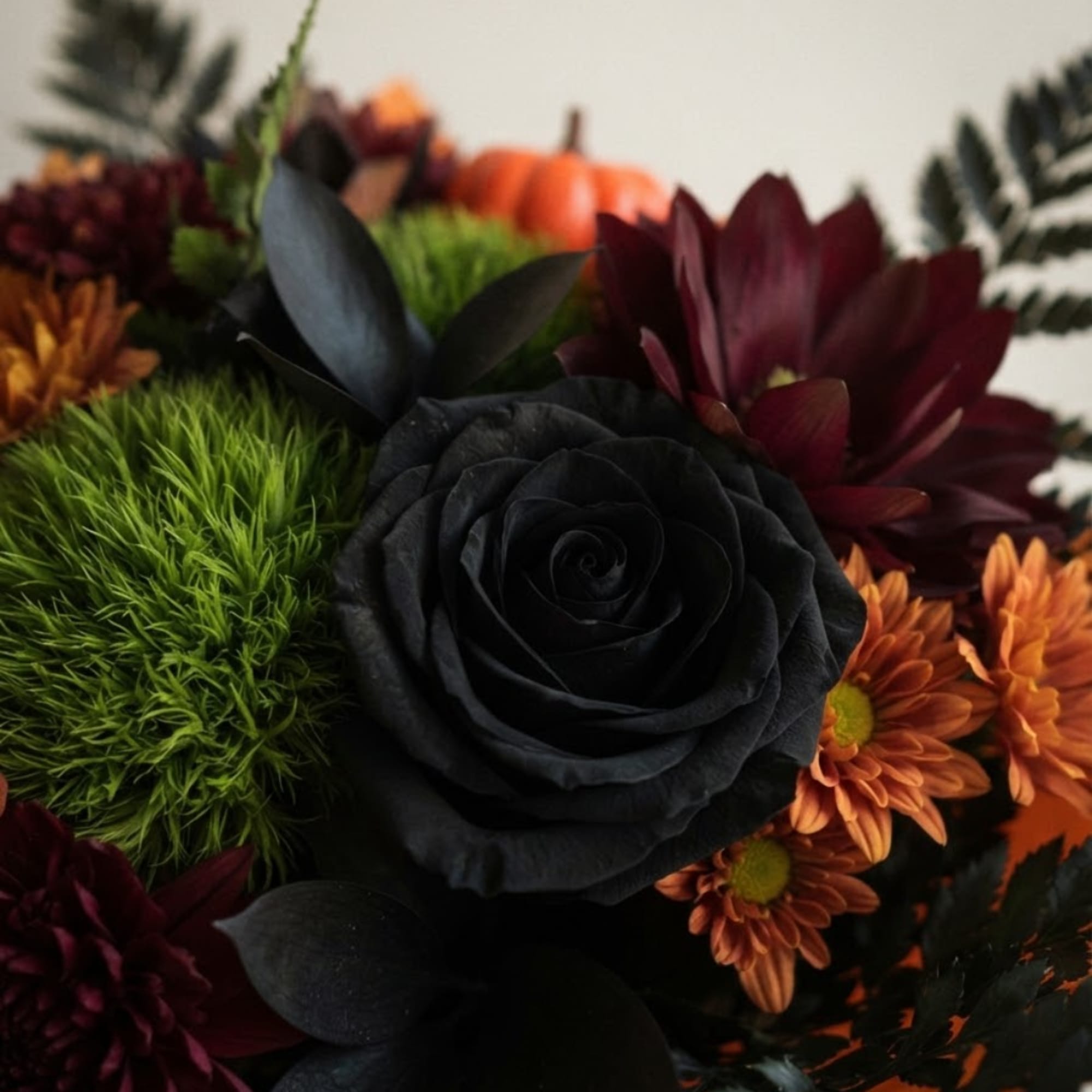 Dark floral arrangement with a black rose and orange mums