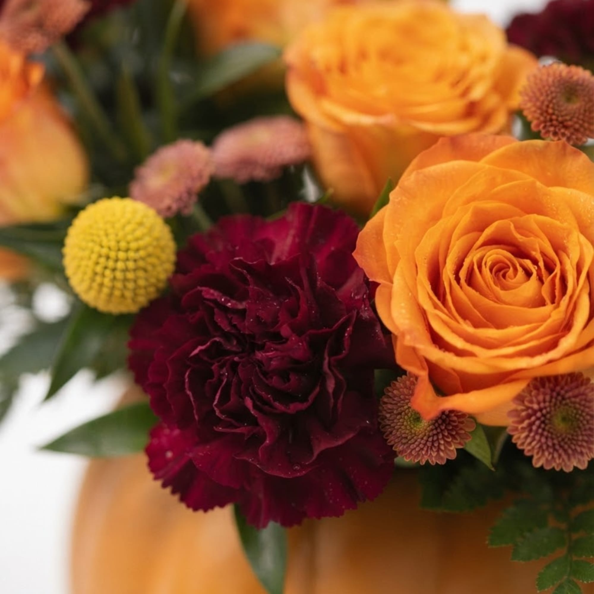 Close-up bouquet with orange roses and deep burgundy carnations