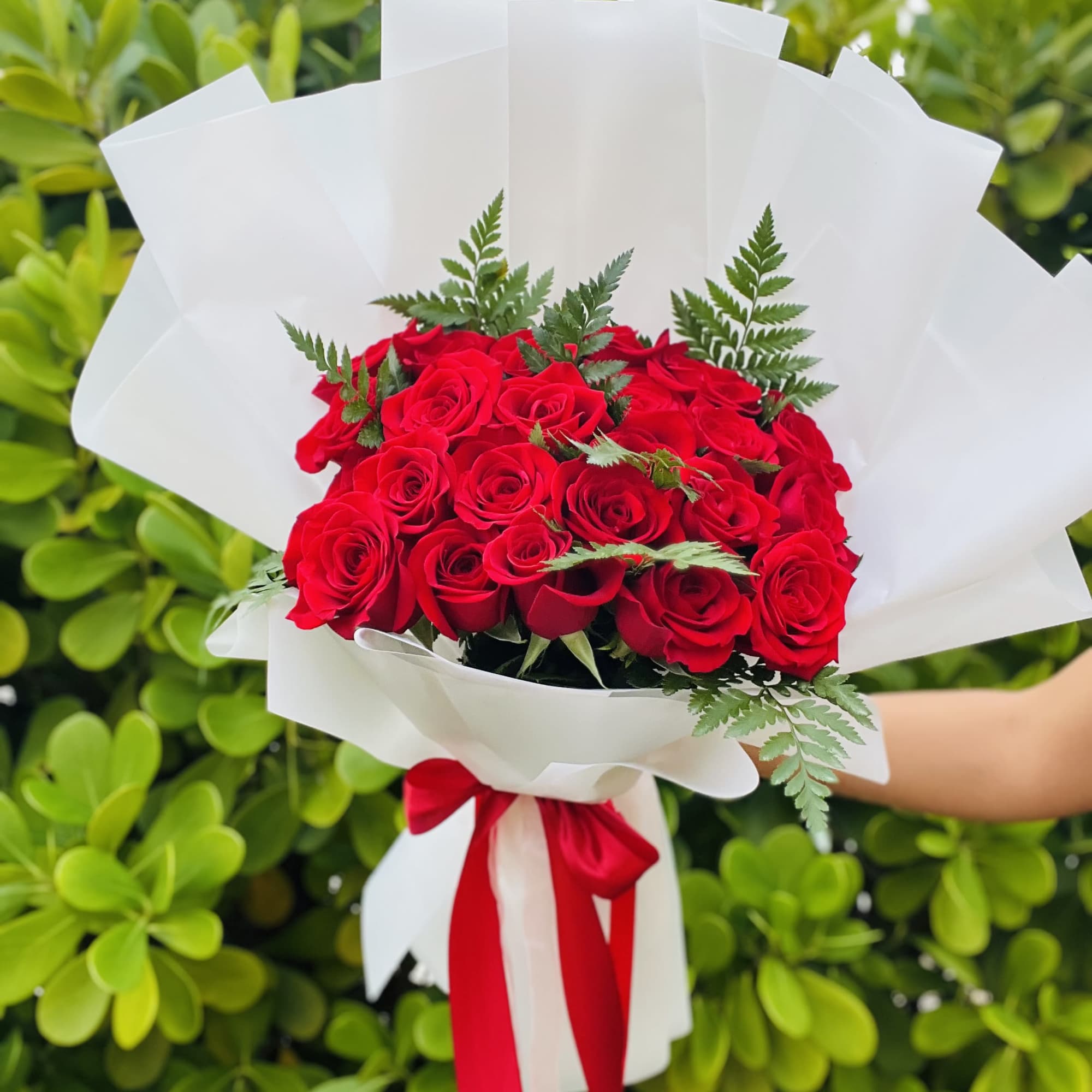 Bouquet of red roses wrapped in white paper with a red ribbon