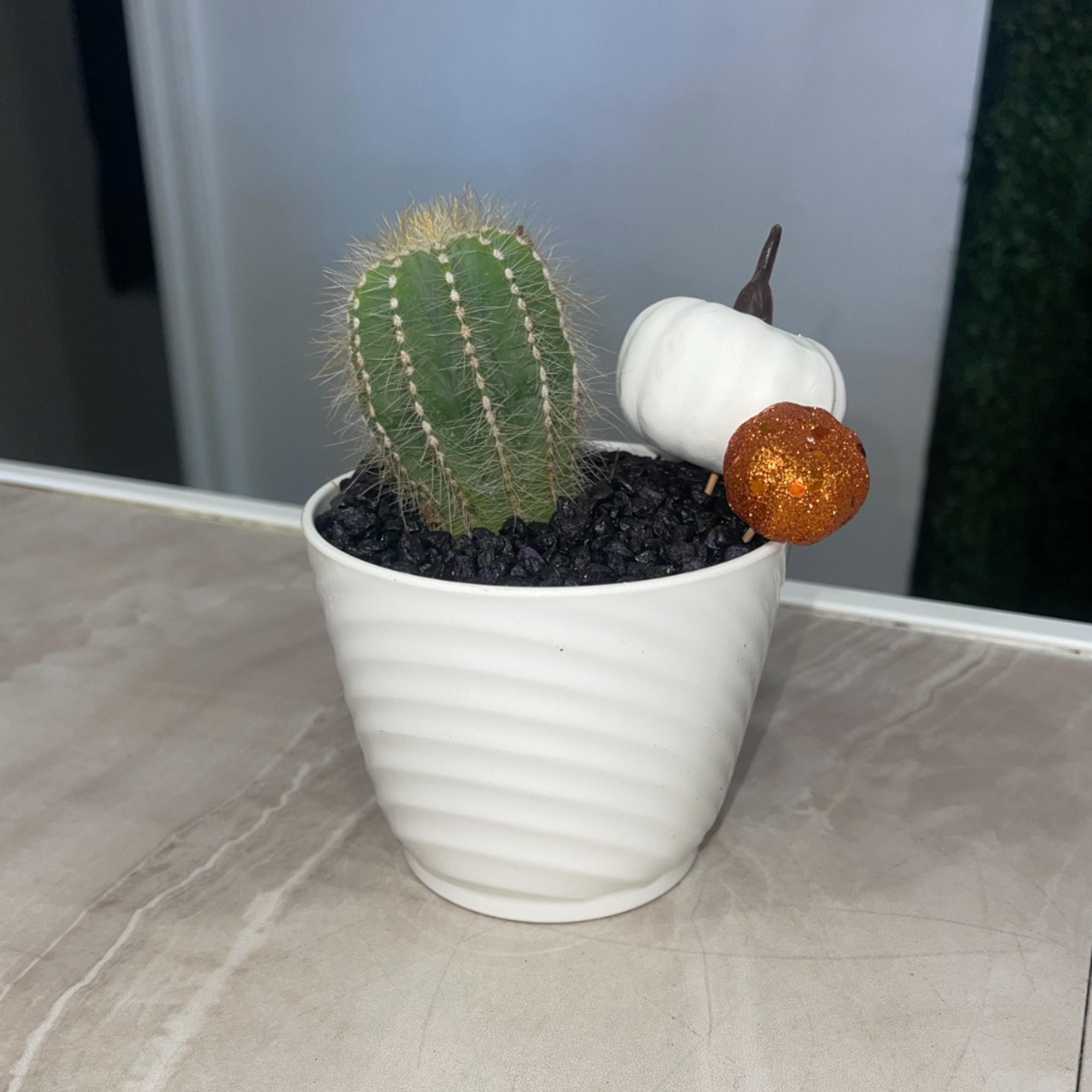 Potted cactus with decorative pumpkin accents in a white planter