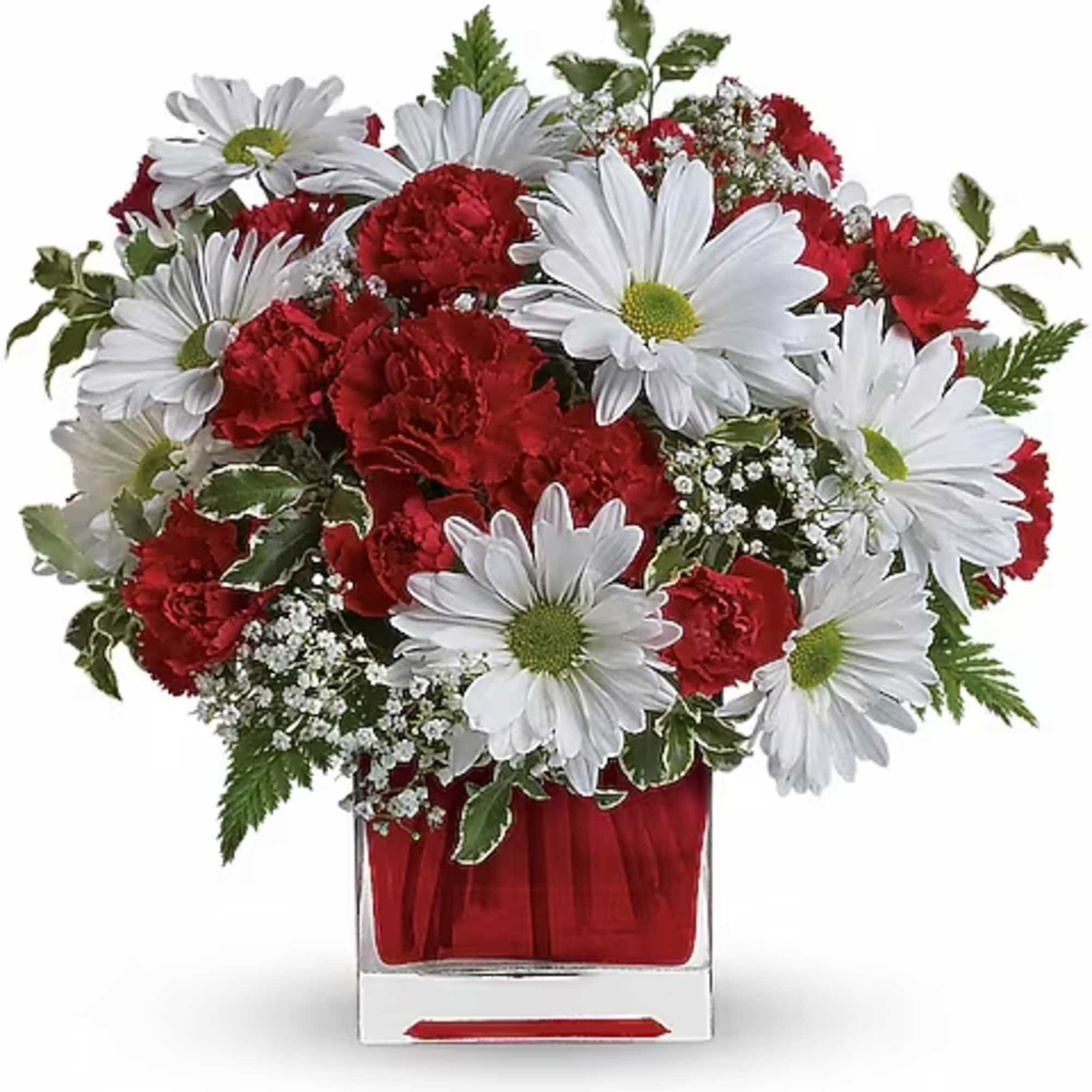 Red carnations and white daisies in a clear square vase