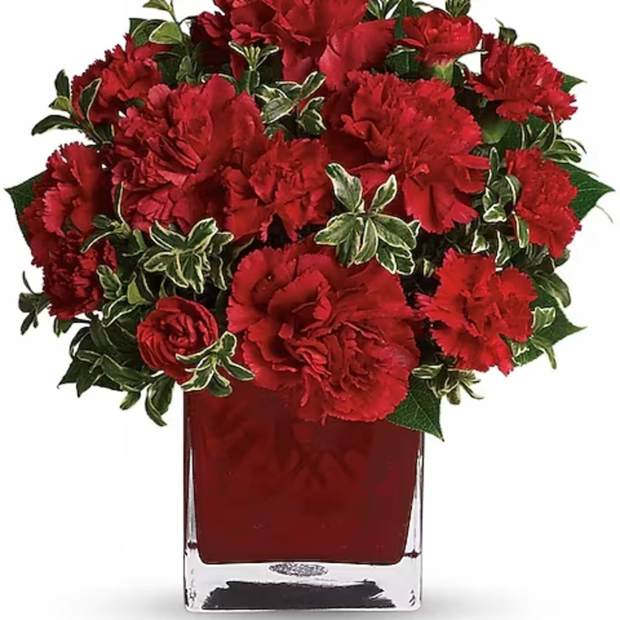 Red carnations arranged in a clear square vase