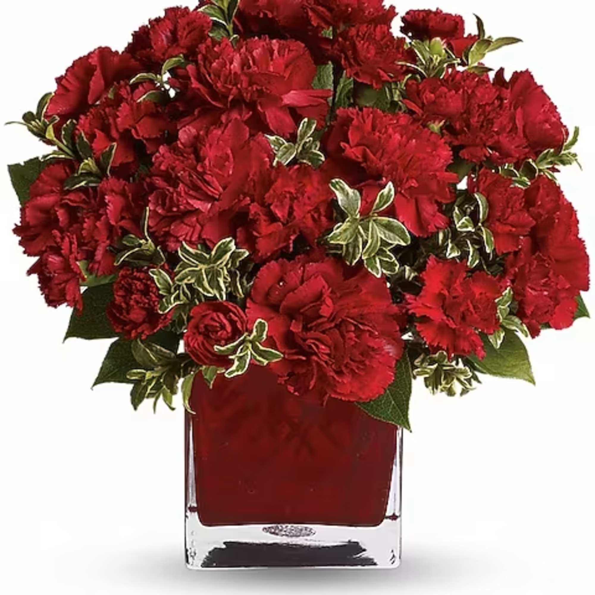 Red carnations arranged in a square glass vase