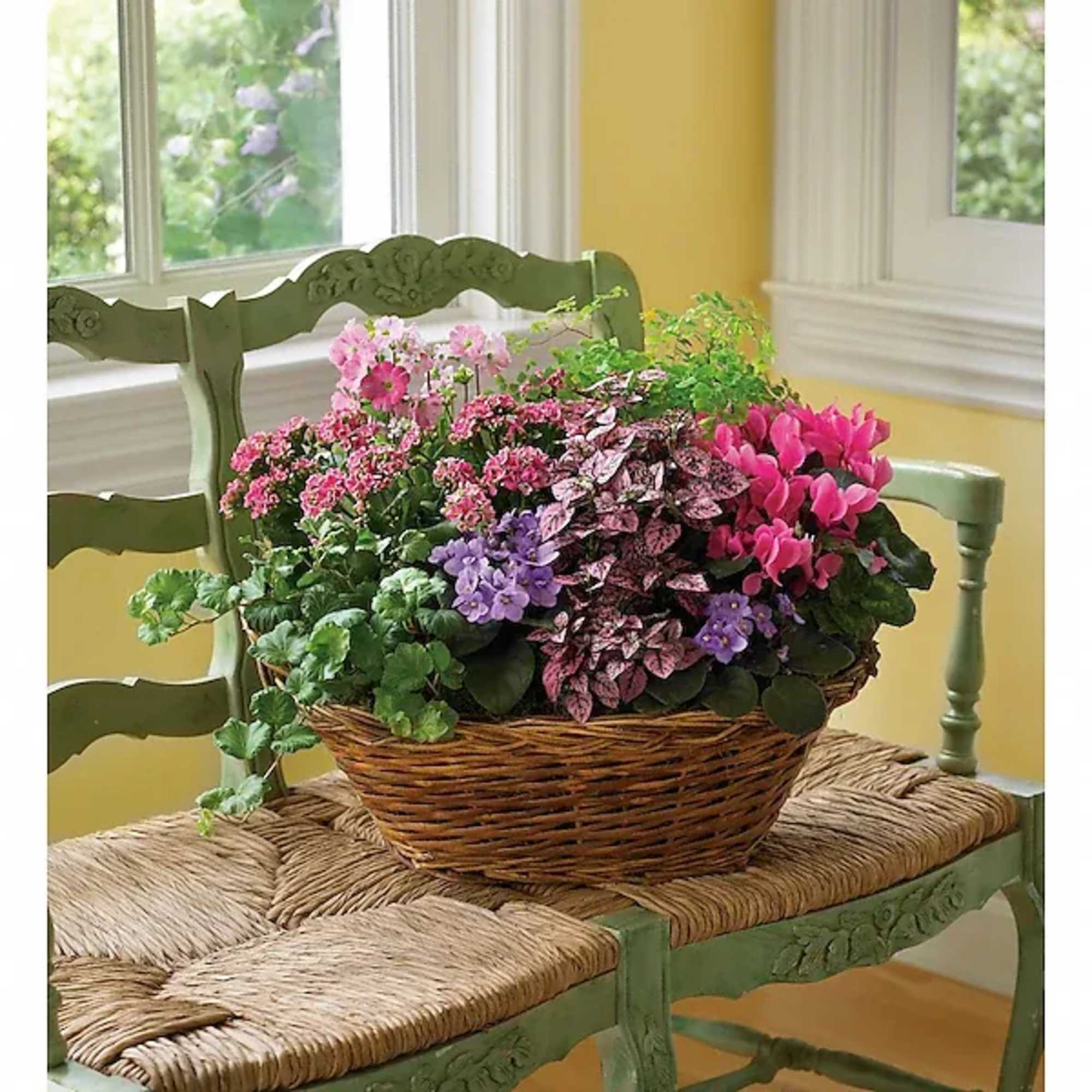 Basket of mixed potted flowers on a woven chair