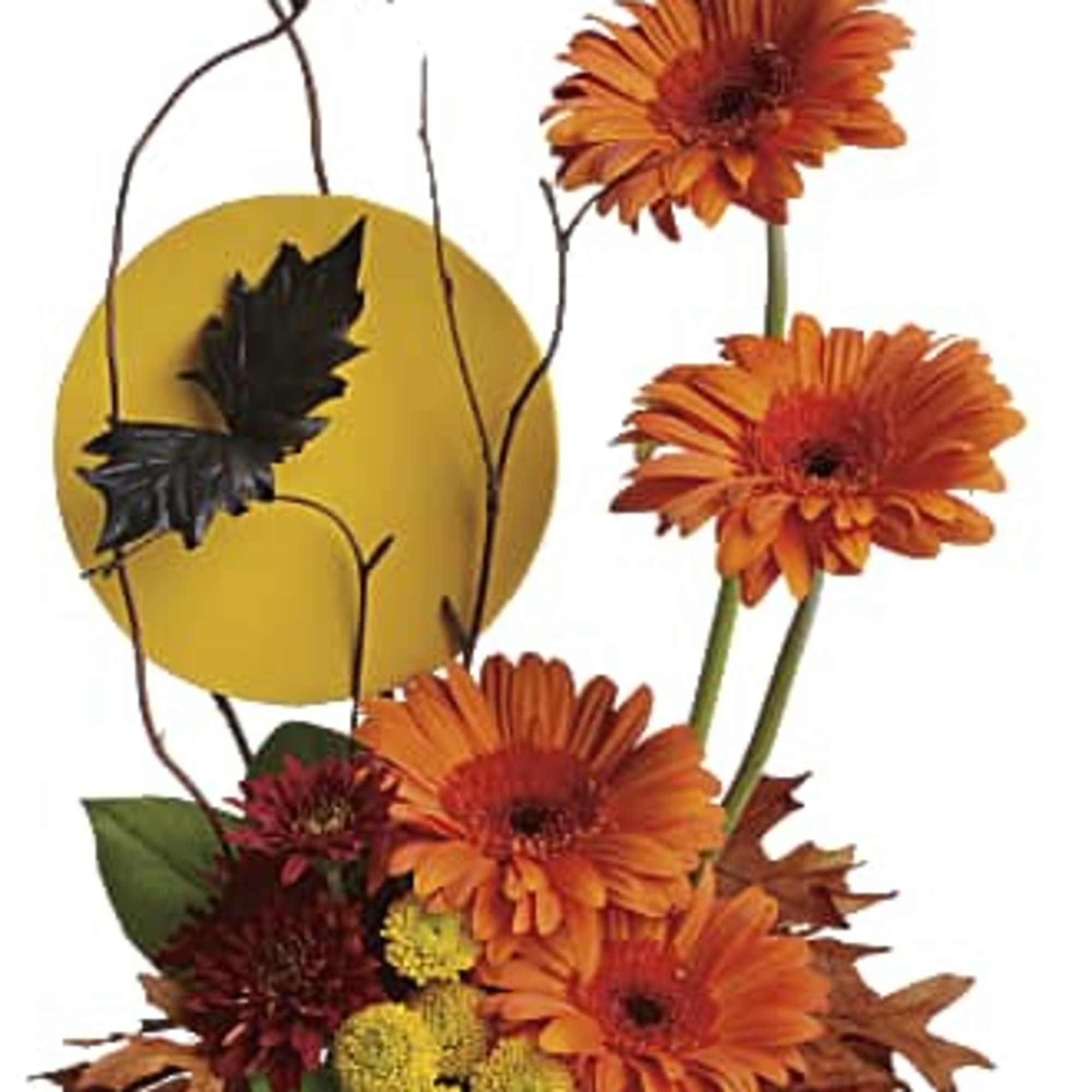 Orange gerbera daisies in a black vase with autumn leaves and a yellow accent disc