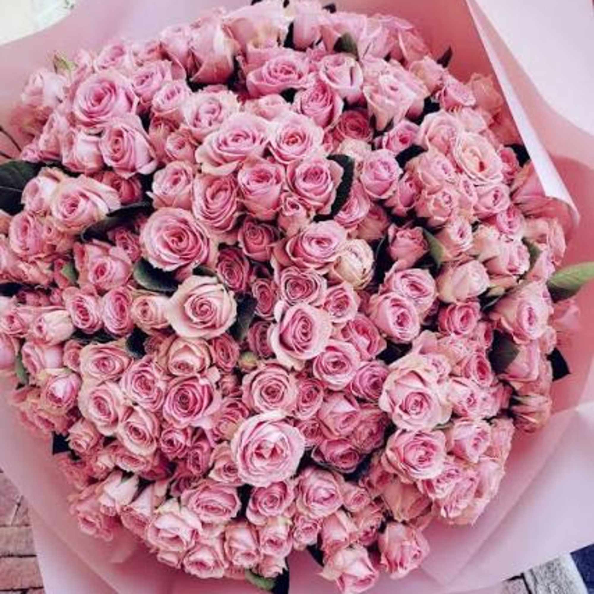 Large bouquet of pink roses wrapped in pale pink paper