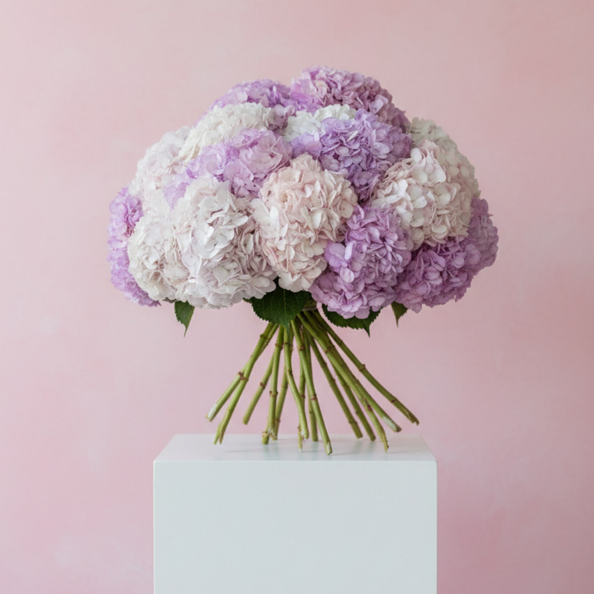 Bouquet of pastel pink and lavender hydrangeas on a white pedestal